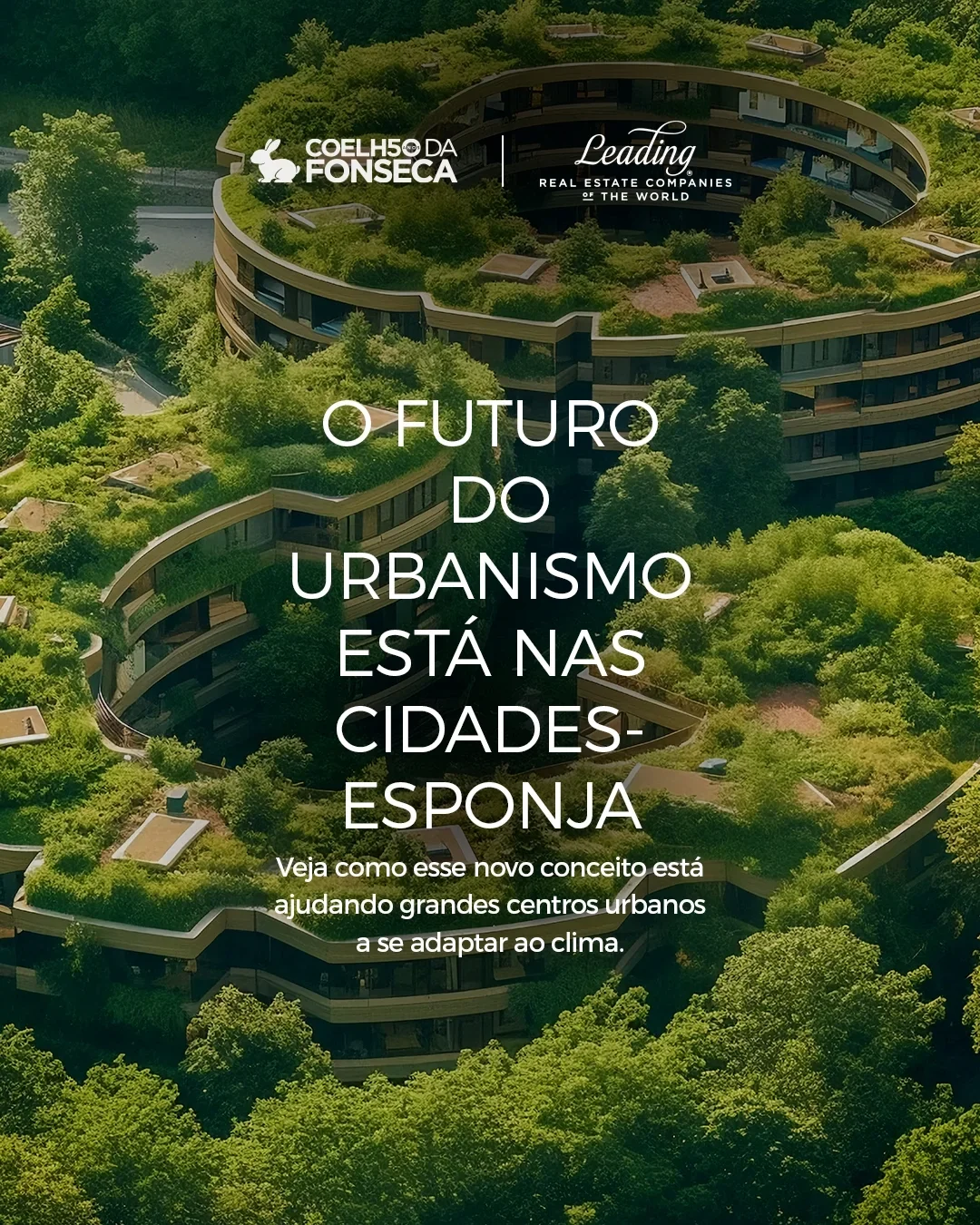 Inovação Urbanística | Conheça as Cidades-Esponja