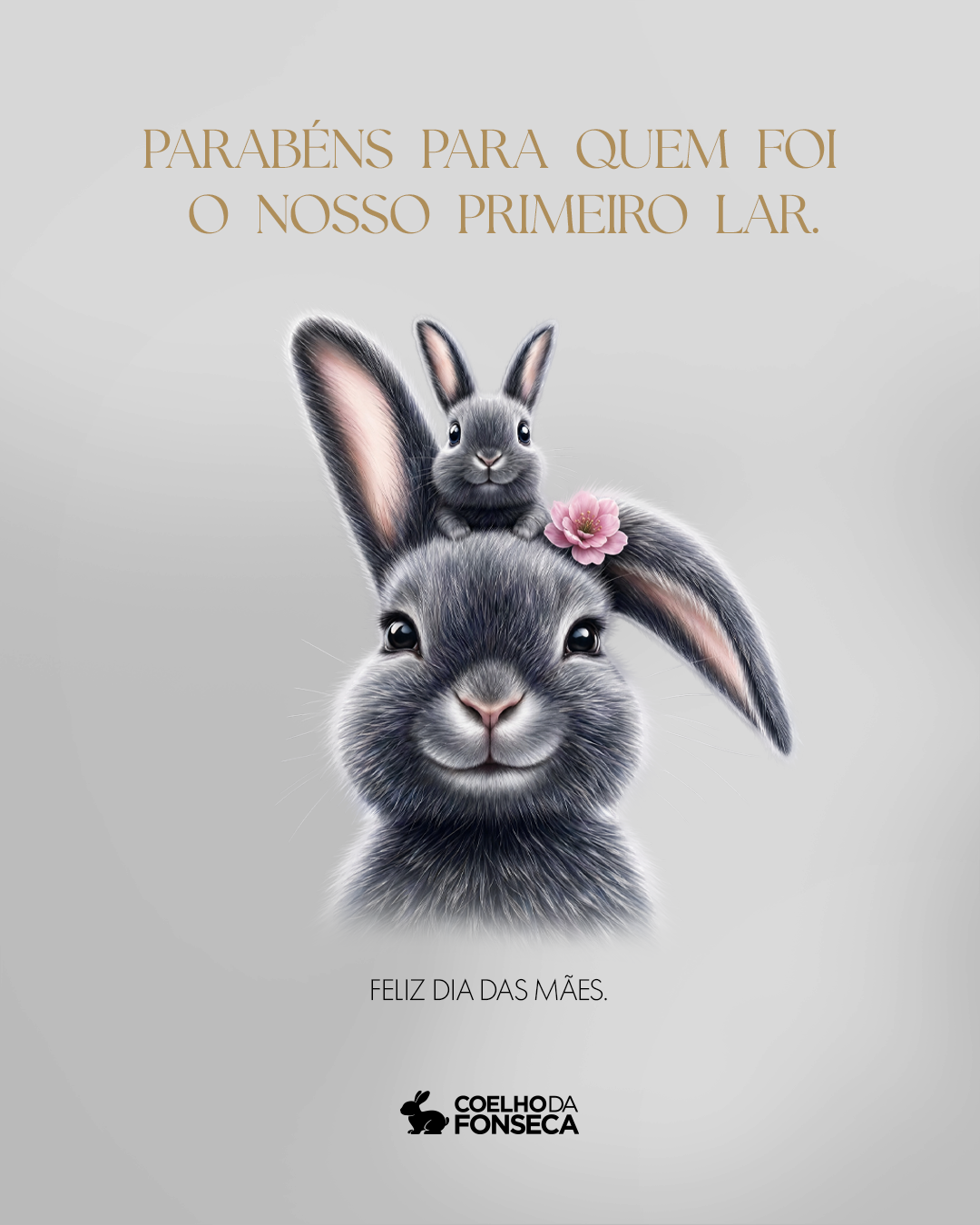 Para quem foi nosso primeiro lar: Feliz dia das mães!