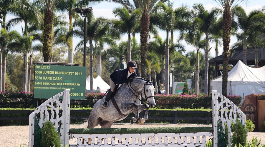 Wellington: o epicentro global do hipismo de alto luxo