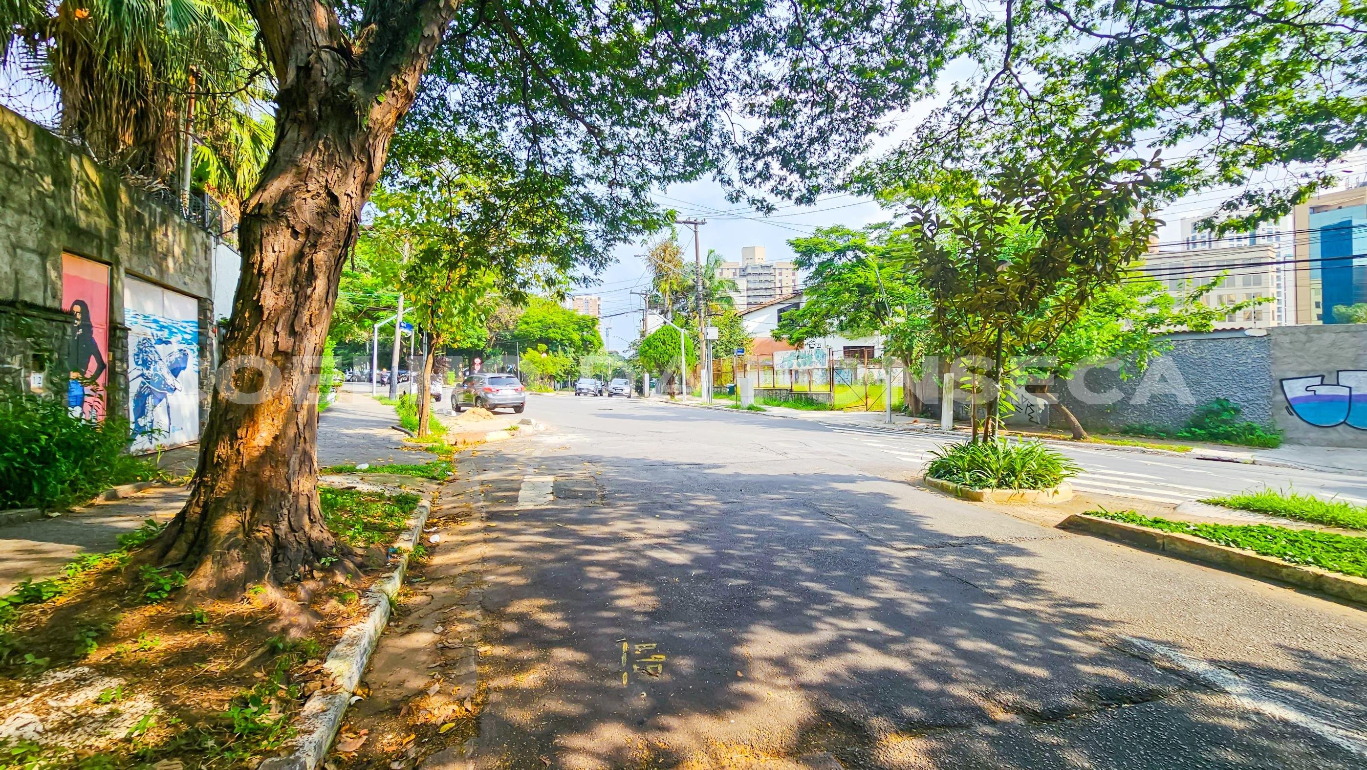 Vizinhança
