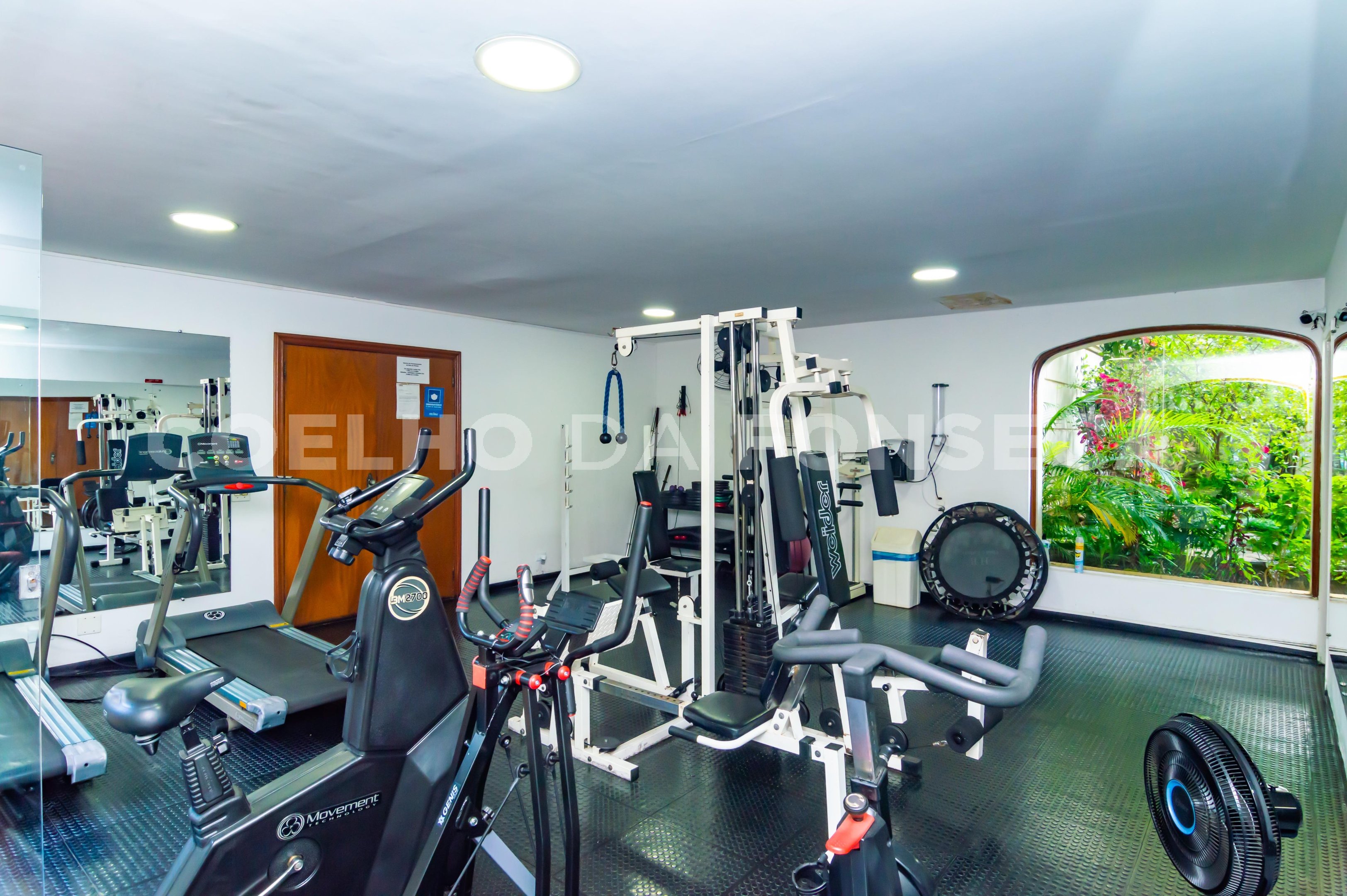 Fitness