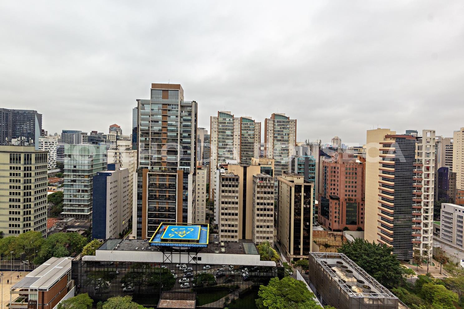 Vista