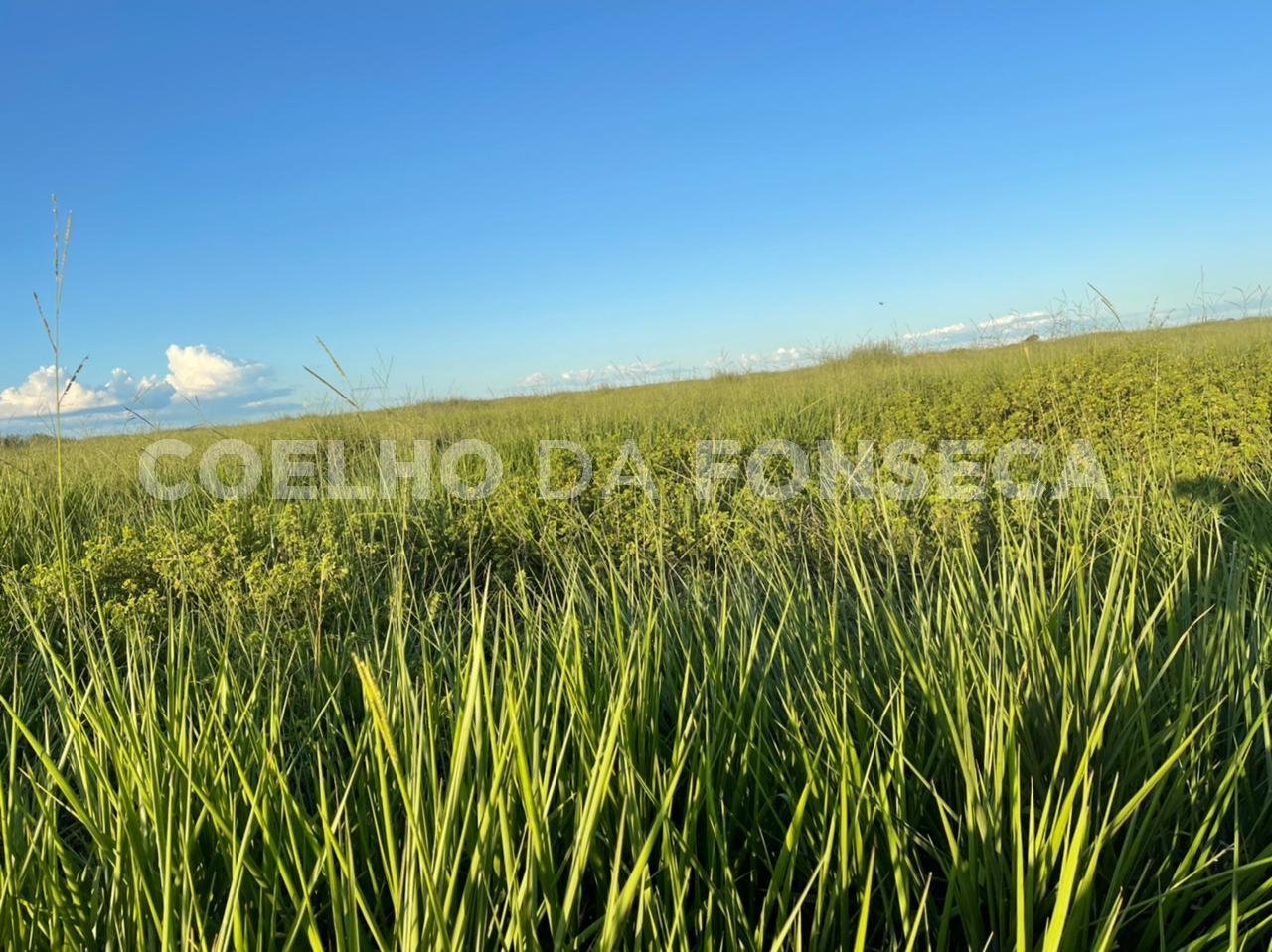 Vista Topográfica da Propriedade