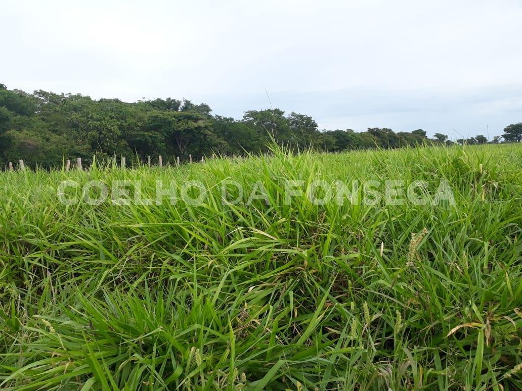 Vista Topográfica da Propriedade