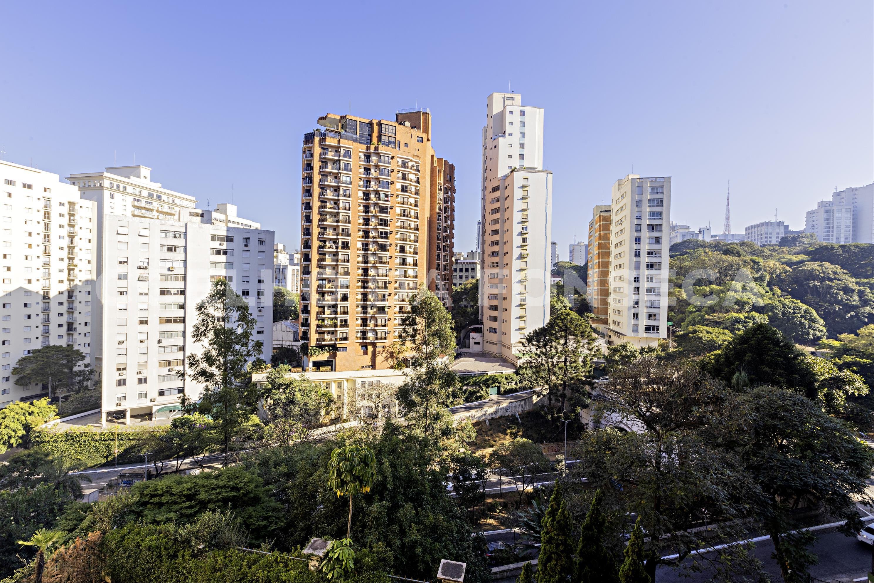 Vista
