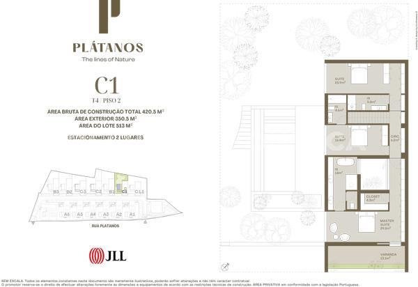 Planta