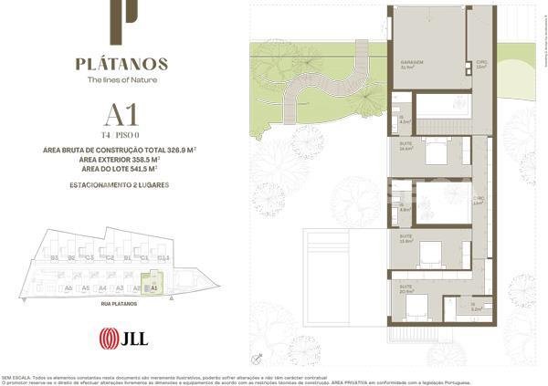Planta