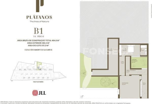 Planta