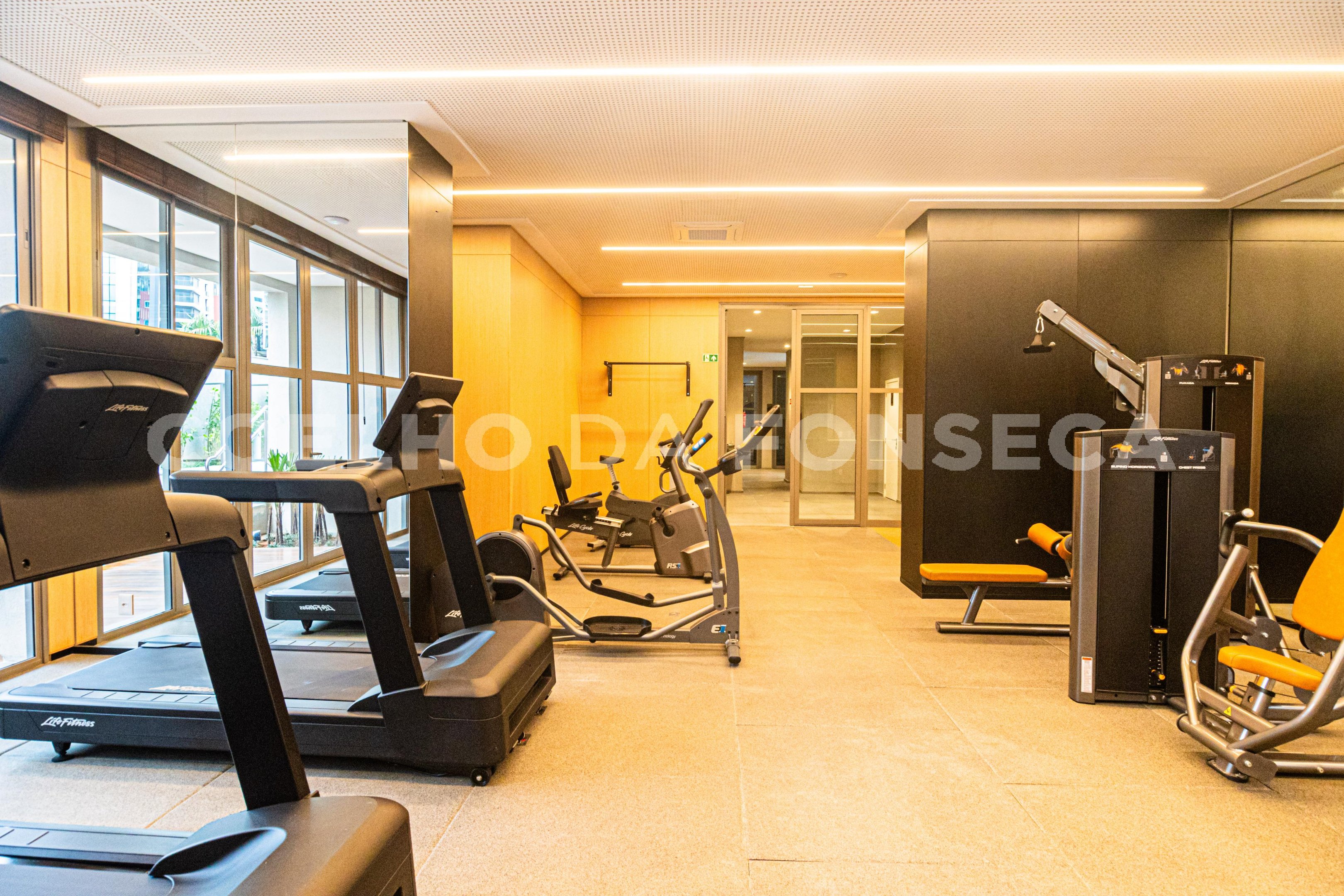 Fitness