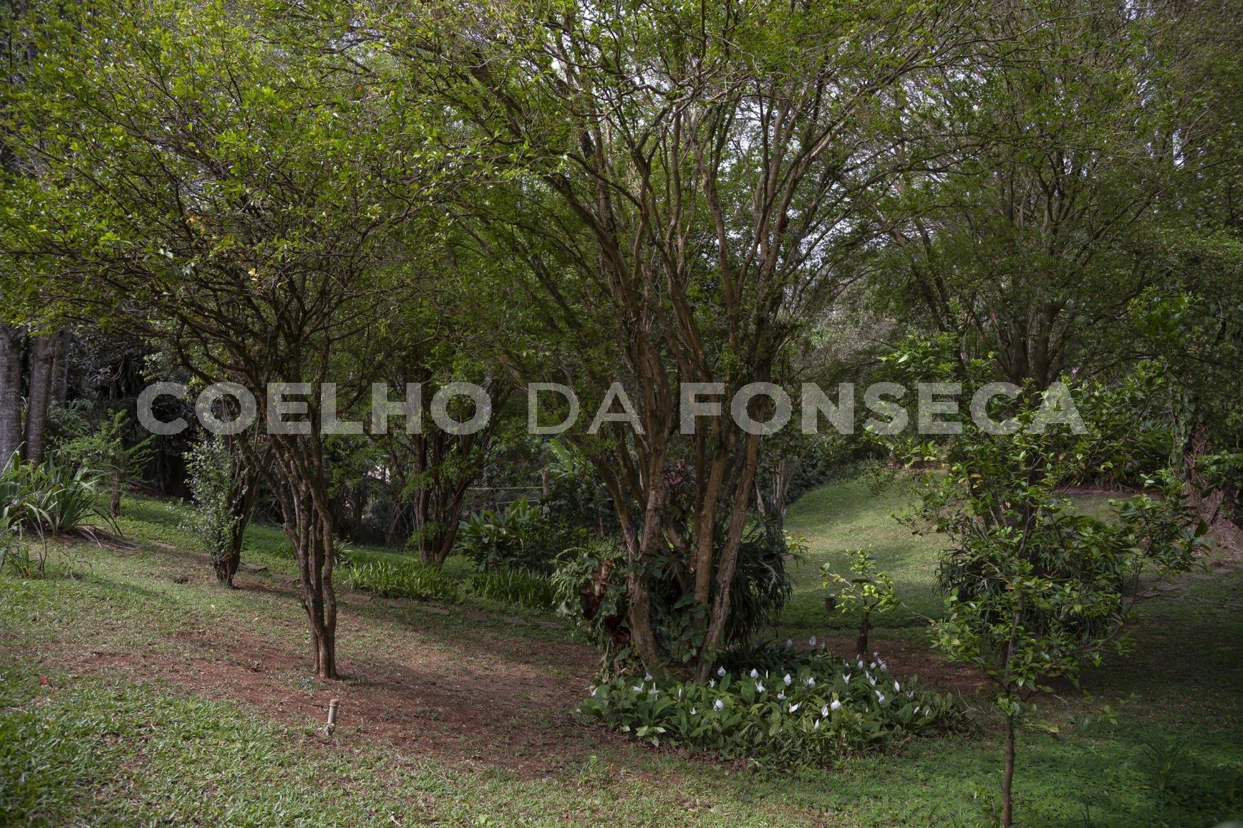 Jardim