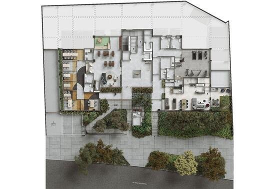 Planta