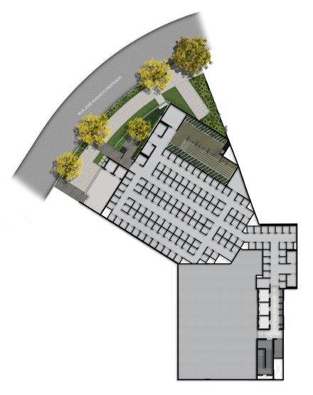 Planta