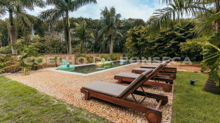 Jardim