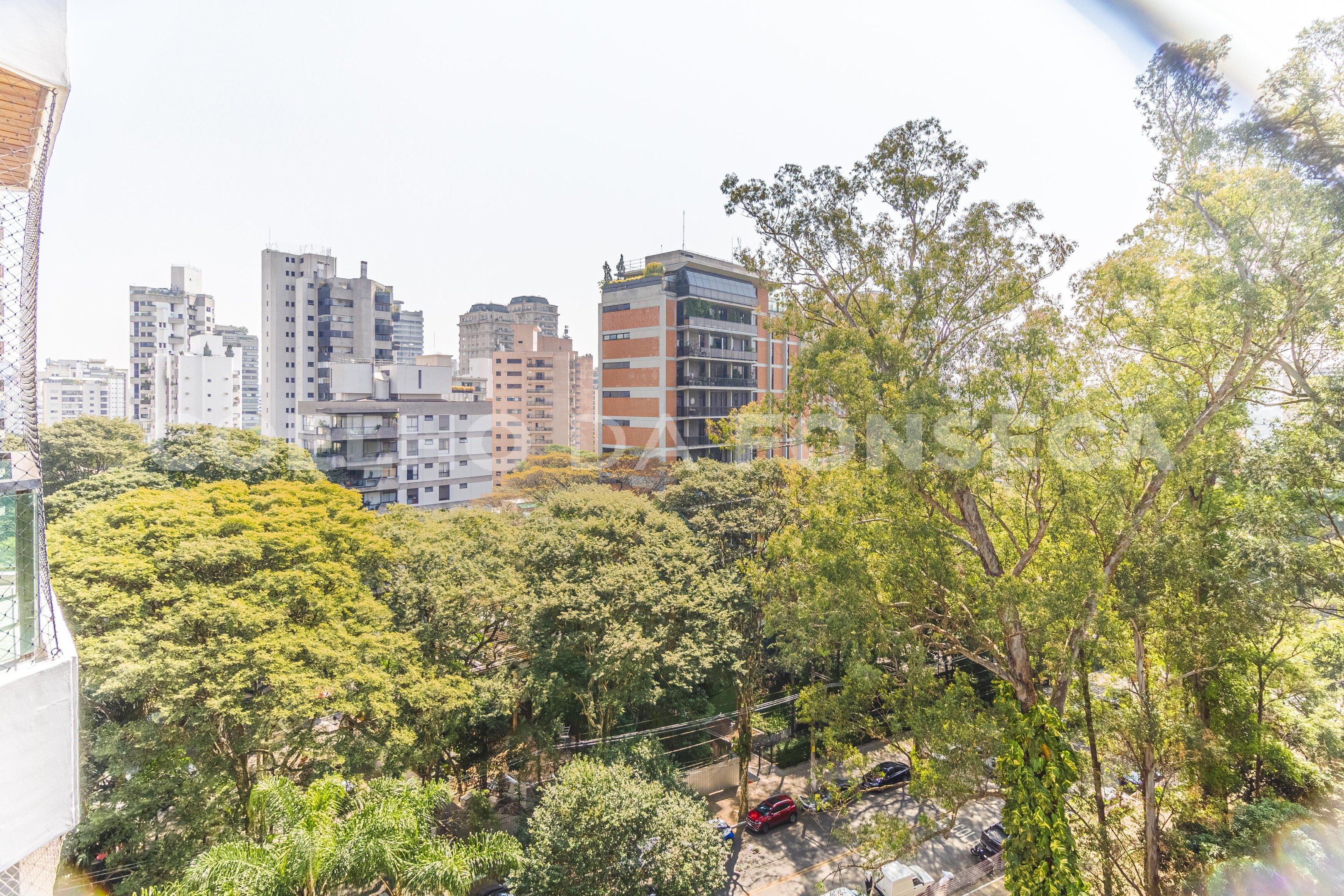 Vista