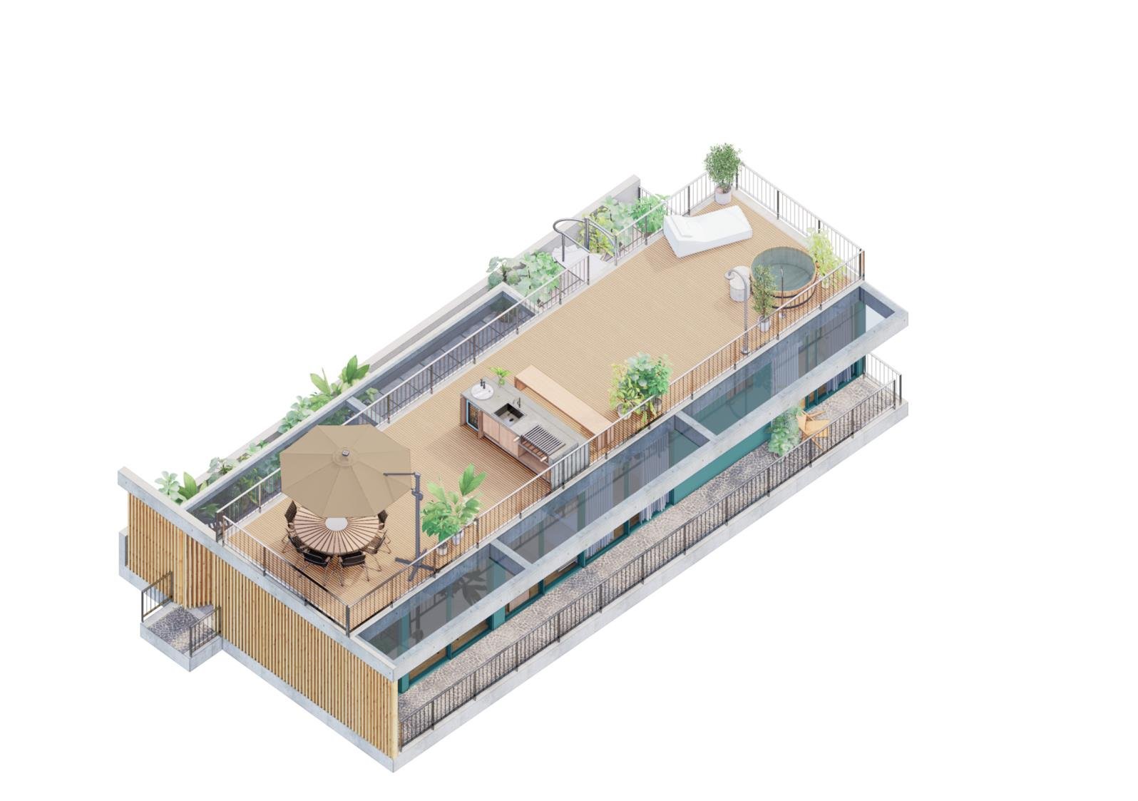Planta