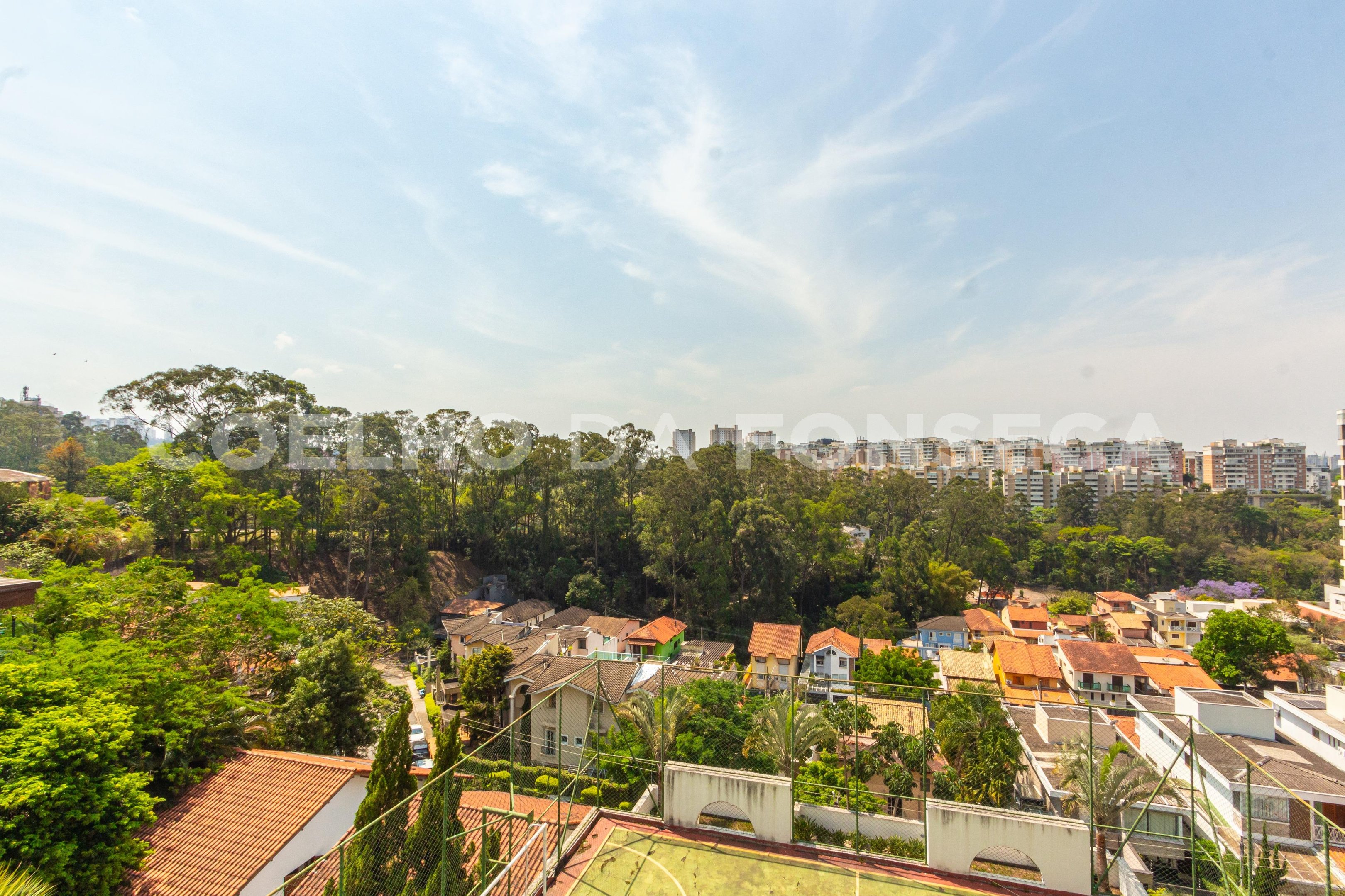 Vista