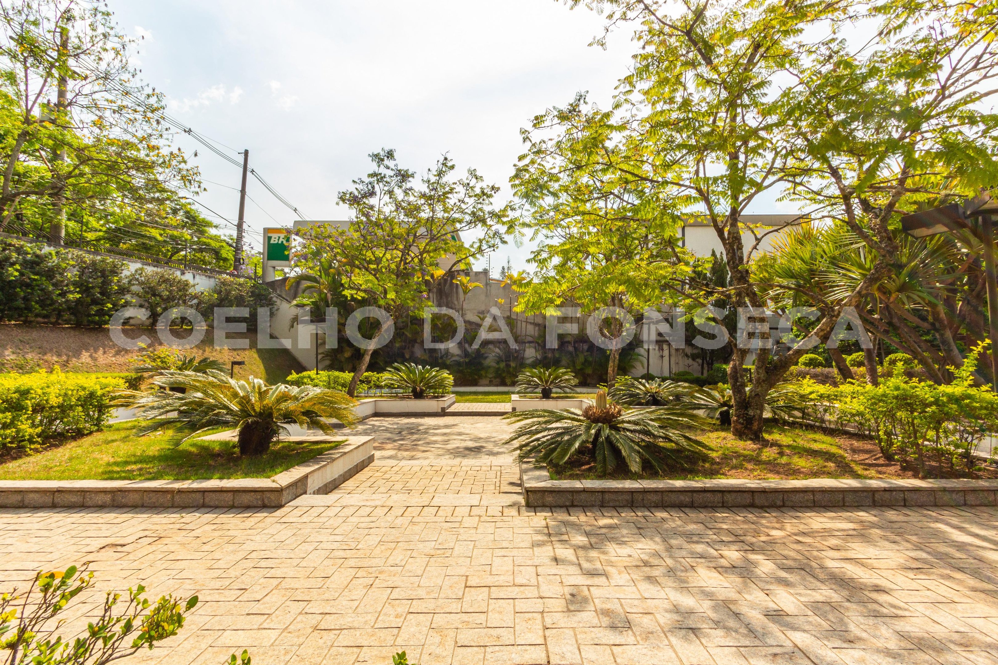 Jardim