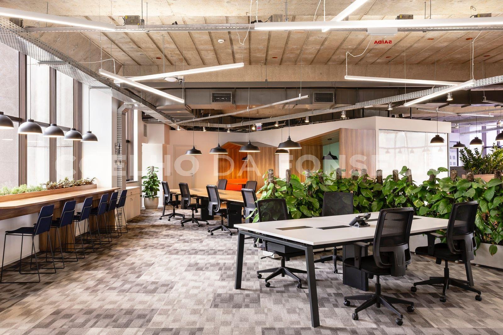 Conjunto Comercial 1