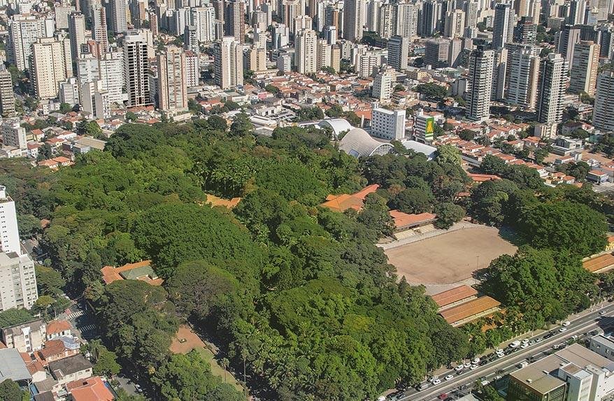 Perspectiva artística