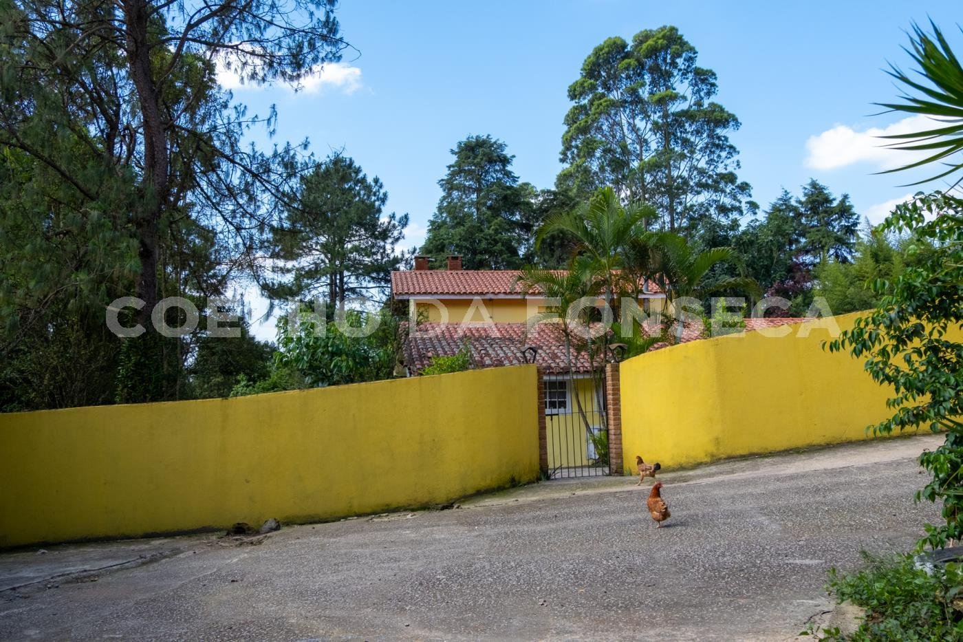 Casa Sede