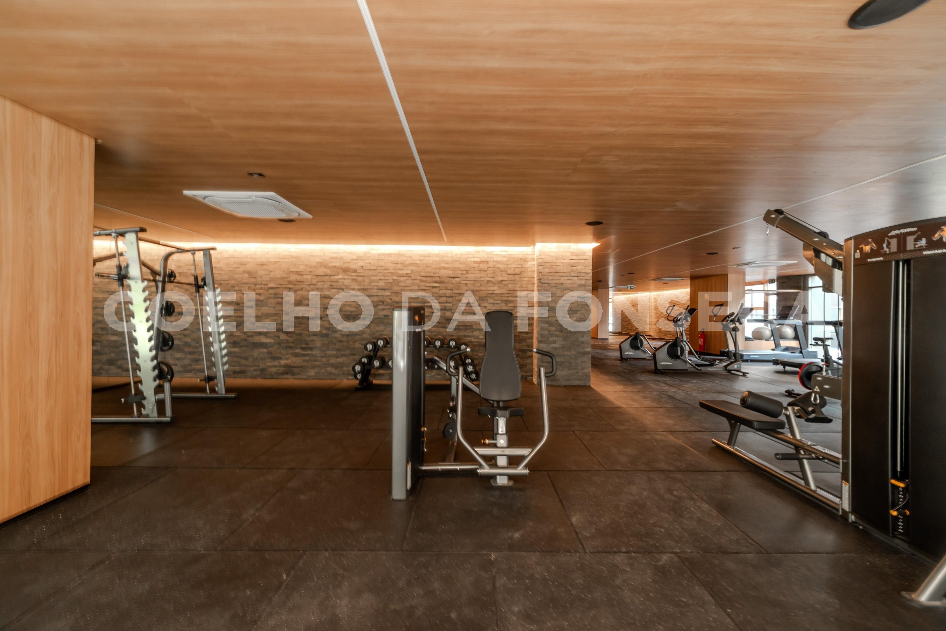 Fitness