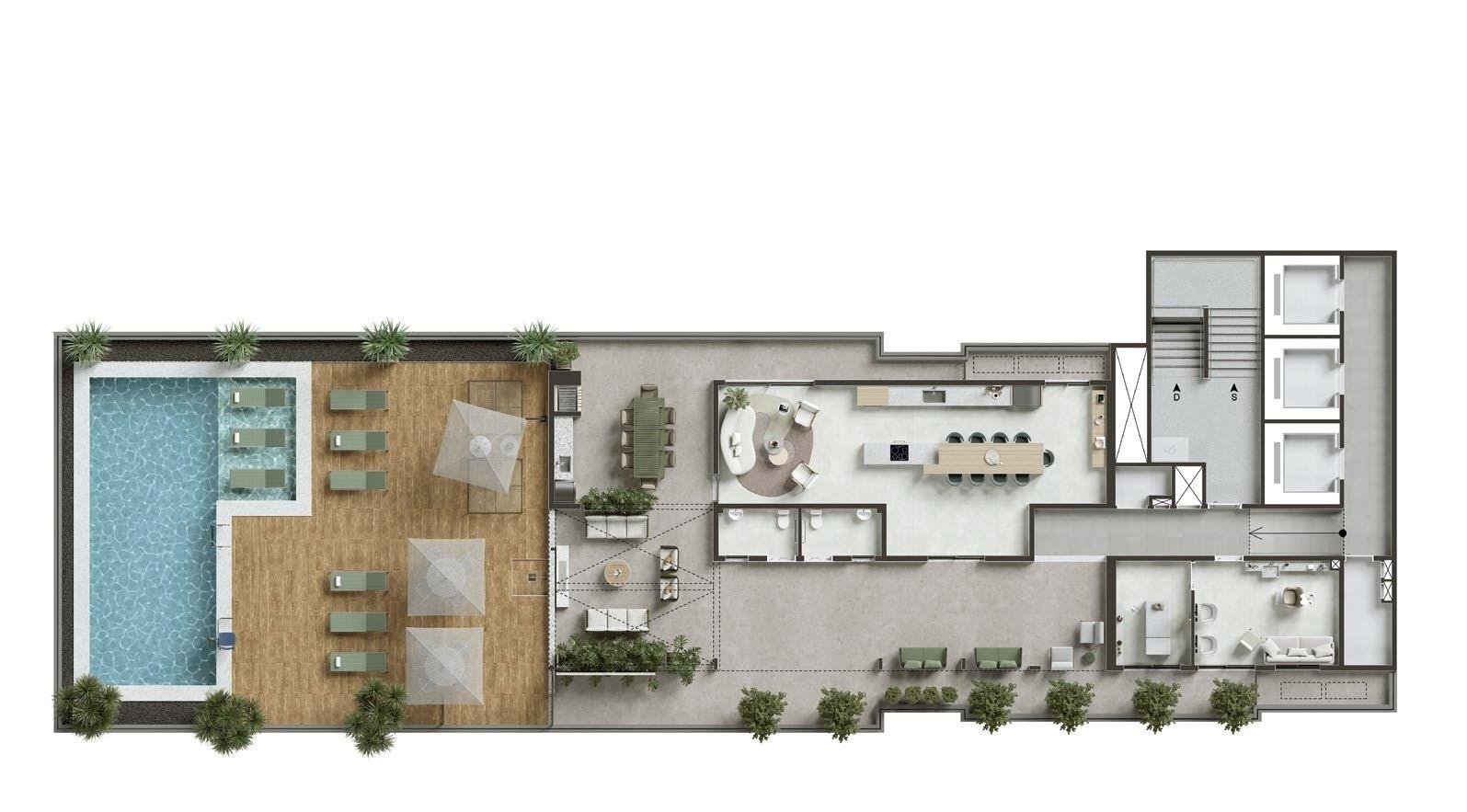 Planta