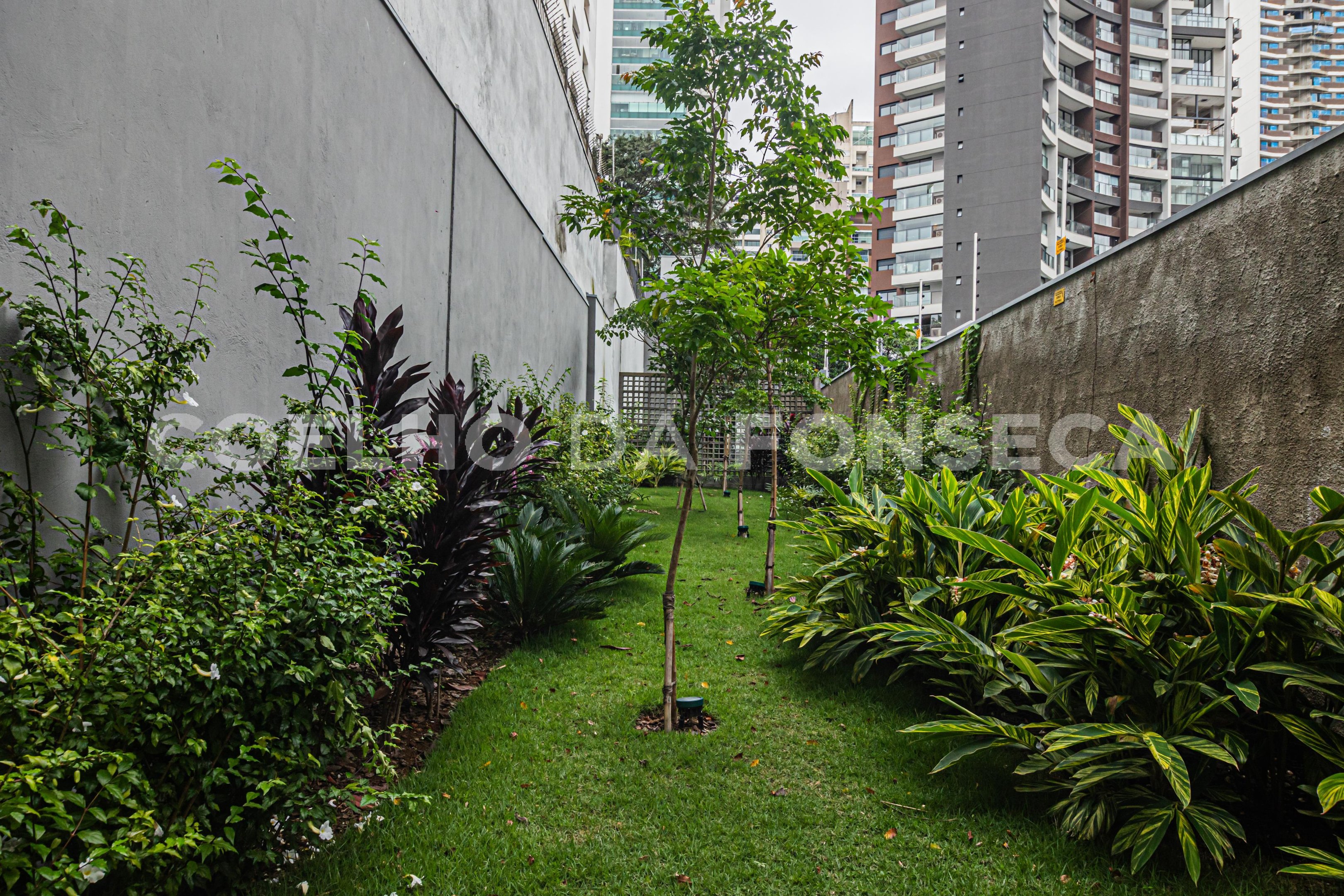 Jardim