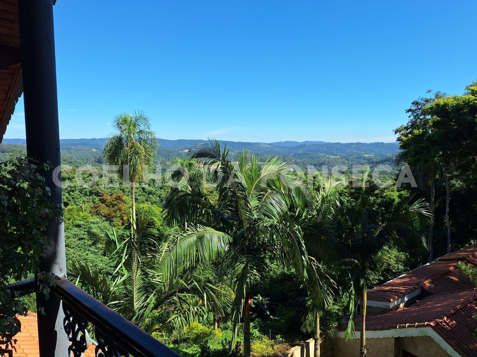 Vista