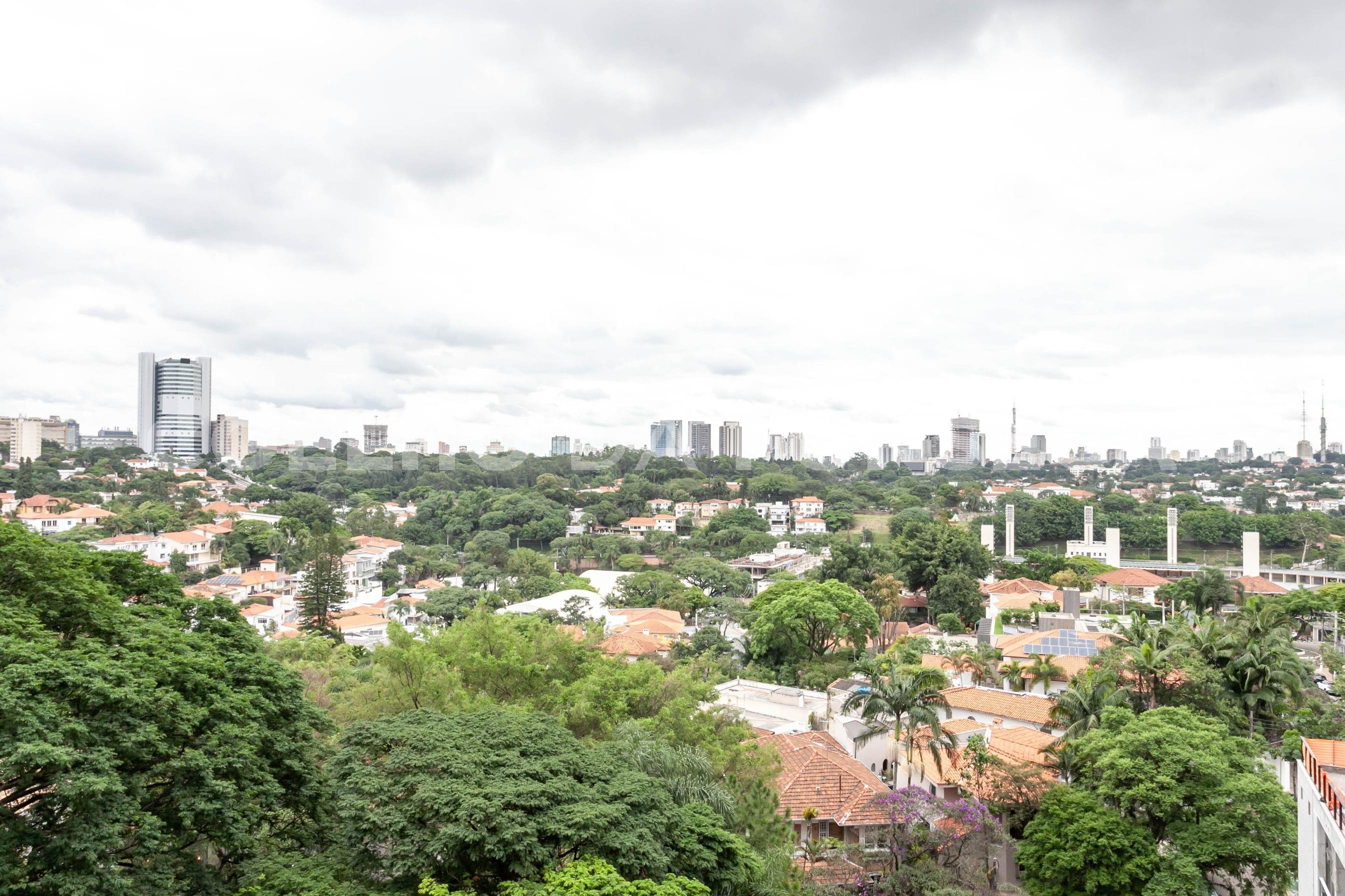 Vista