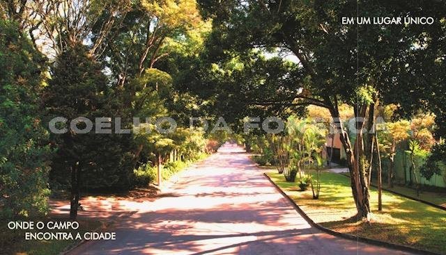 Perspectiva artística