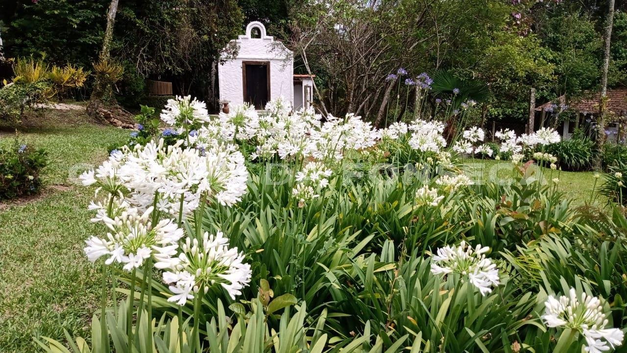 Jardim