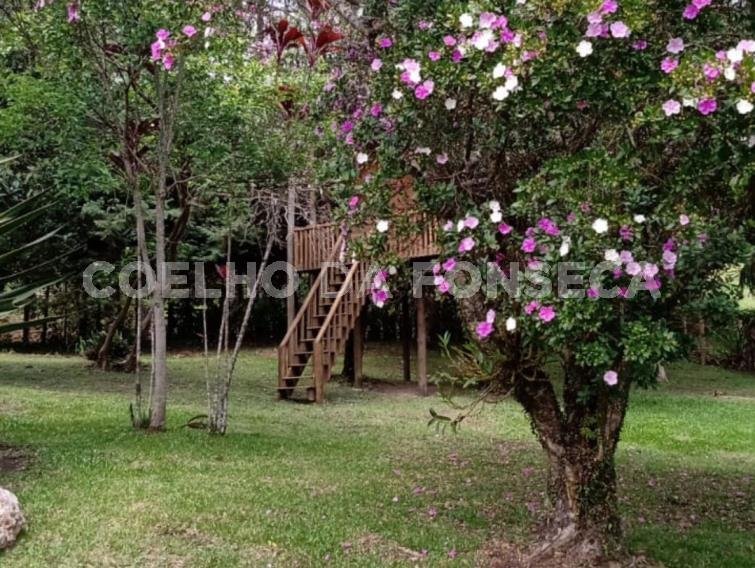Jardim