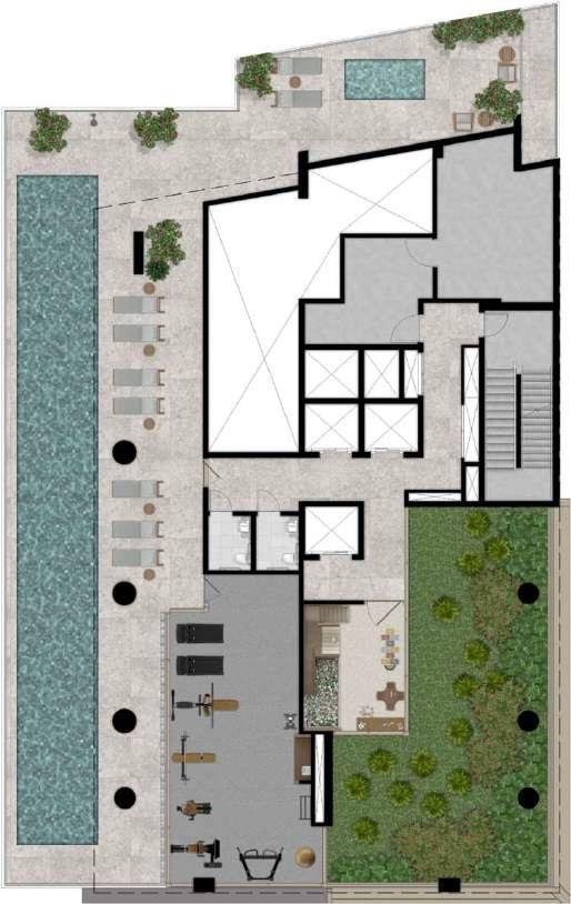 Planta