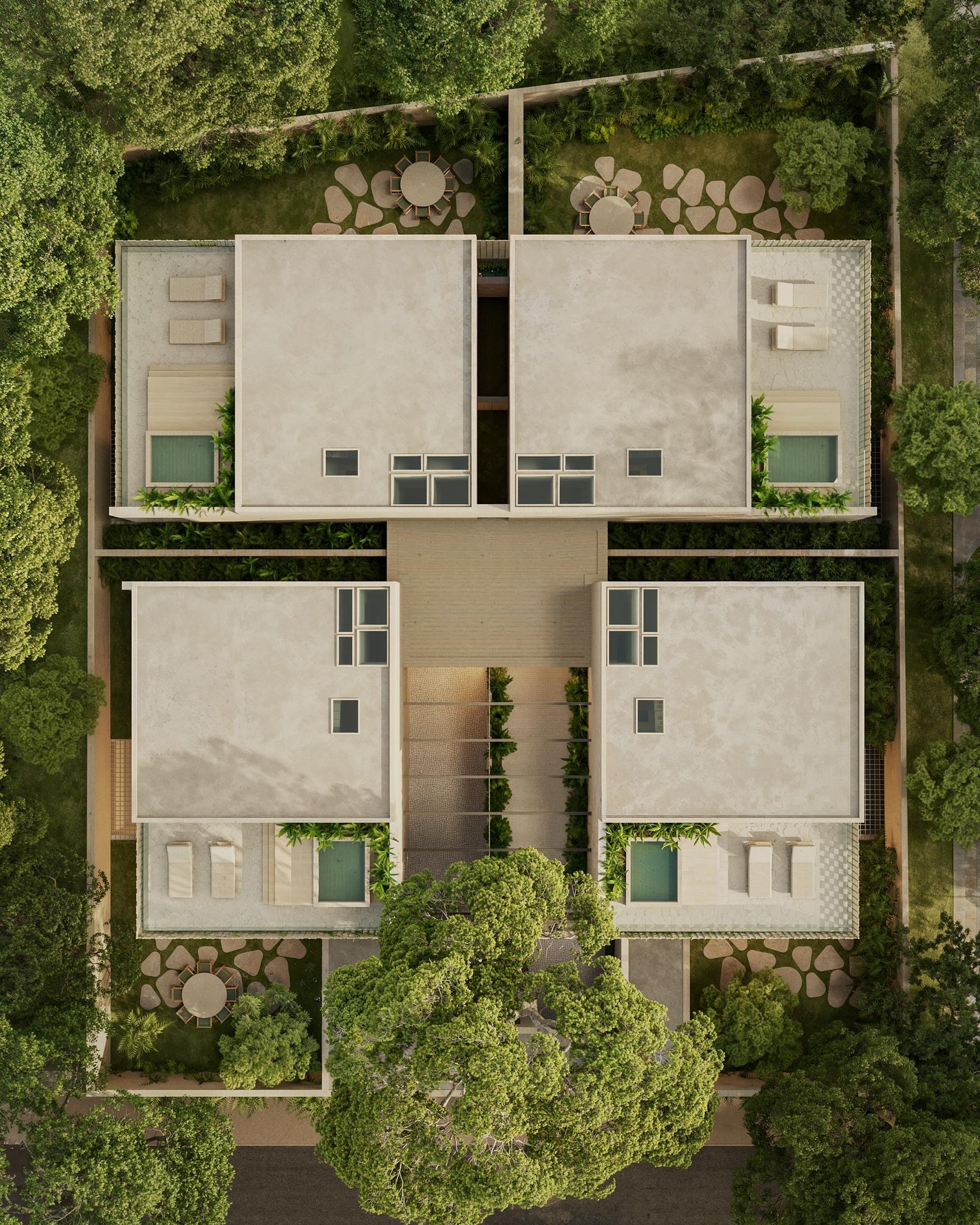 Planta