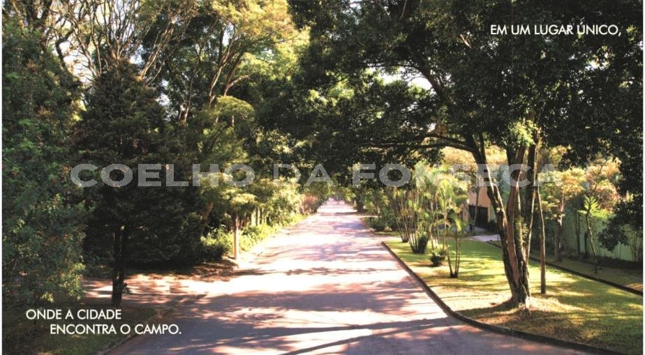 Perspectiva artística