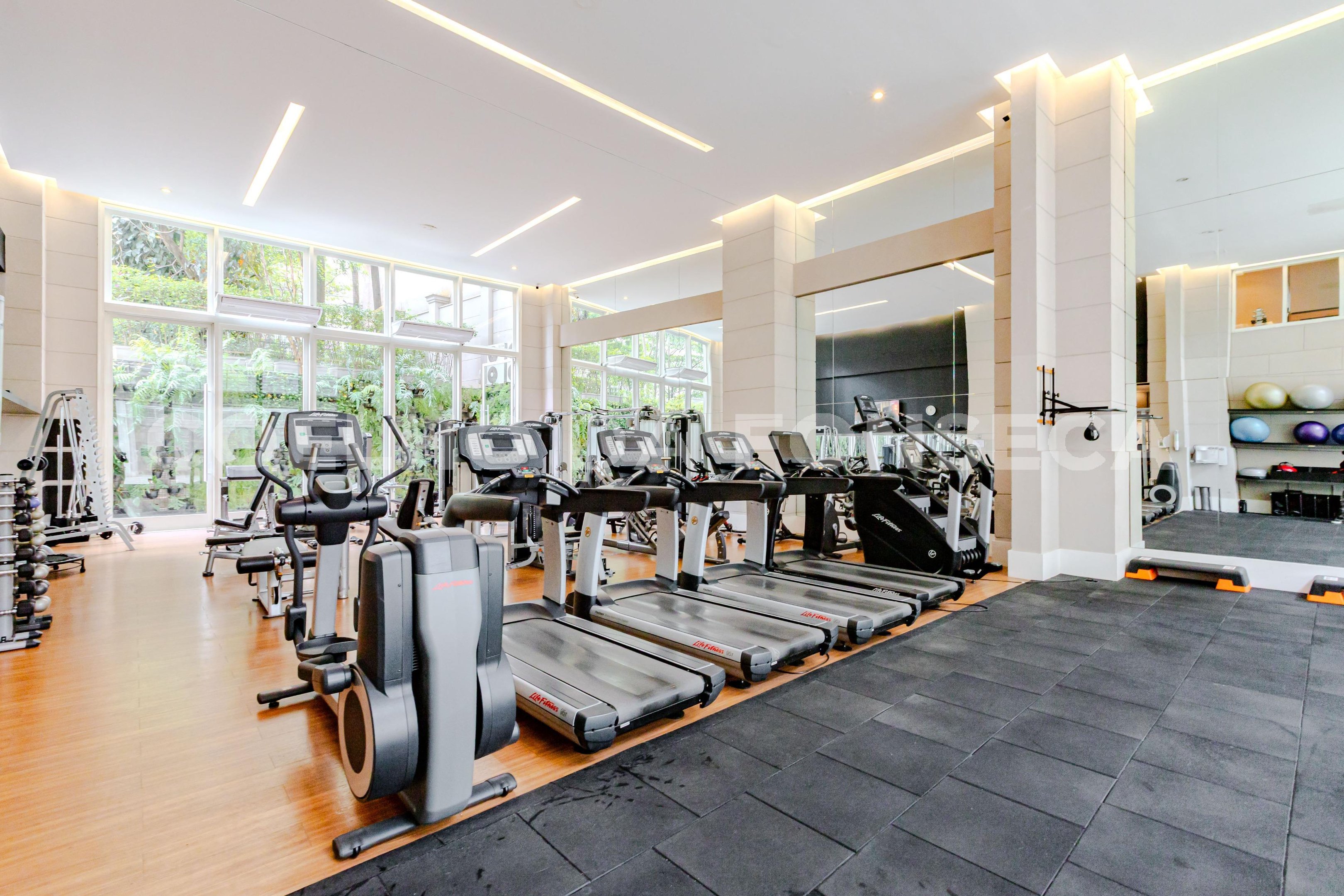 Fitness