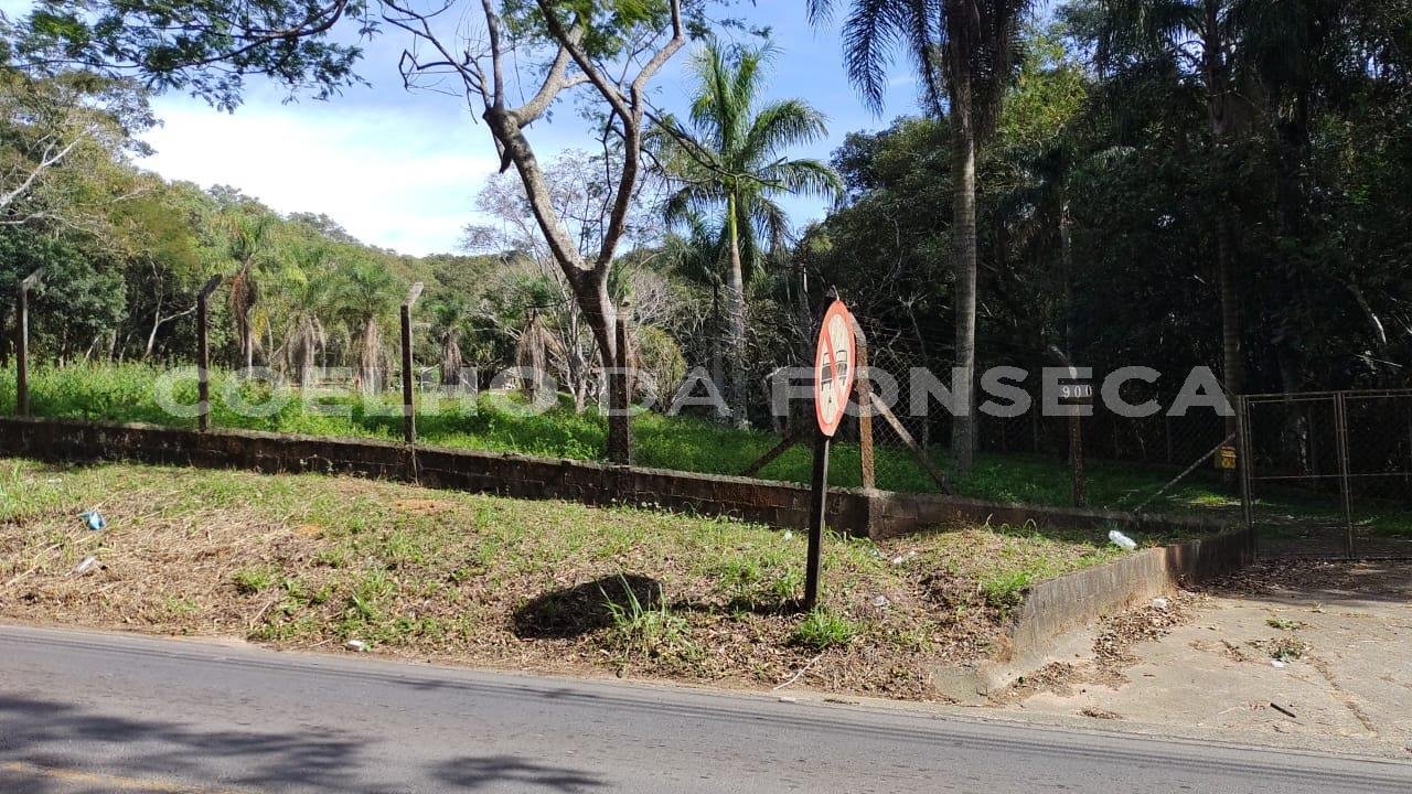 Estrada