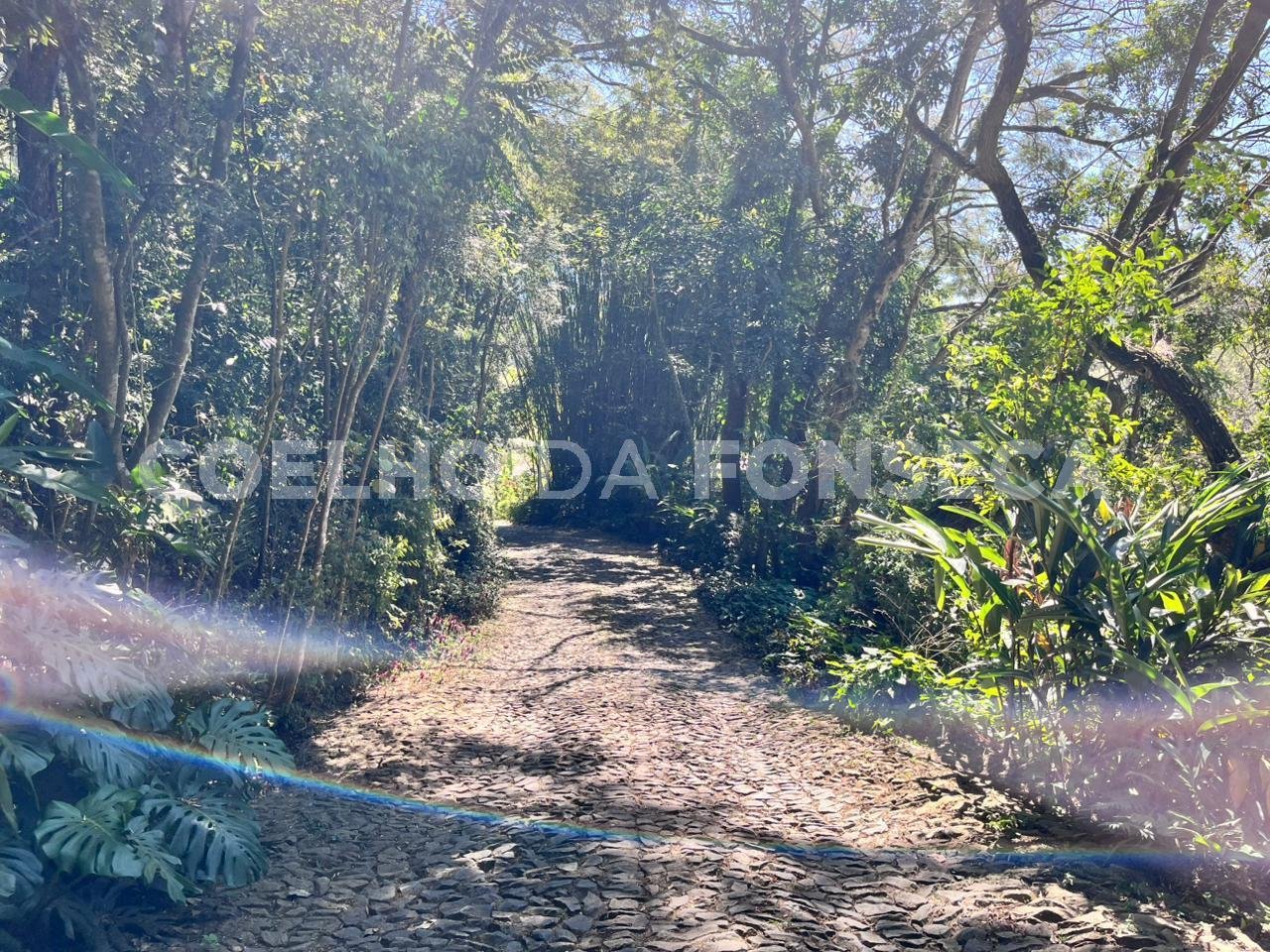 Hall de Circulação