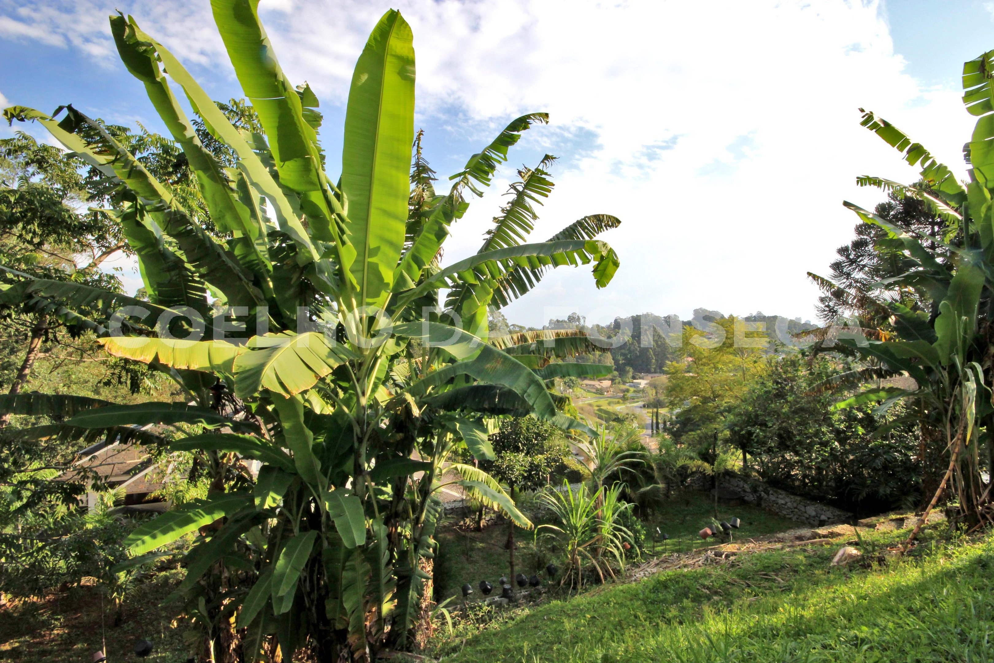 Vista Topográfica da Propriedade