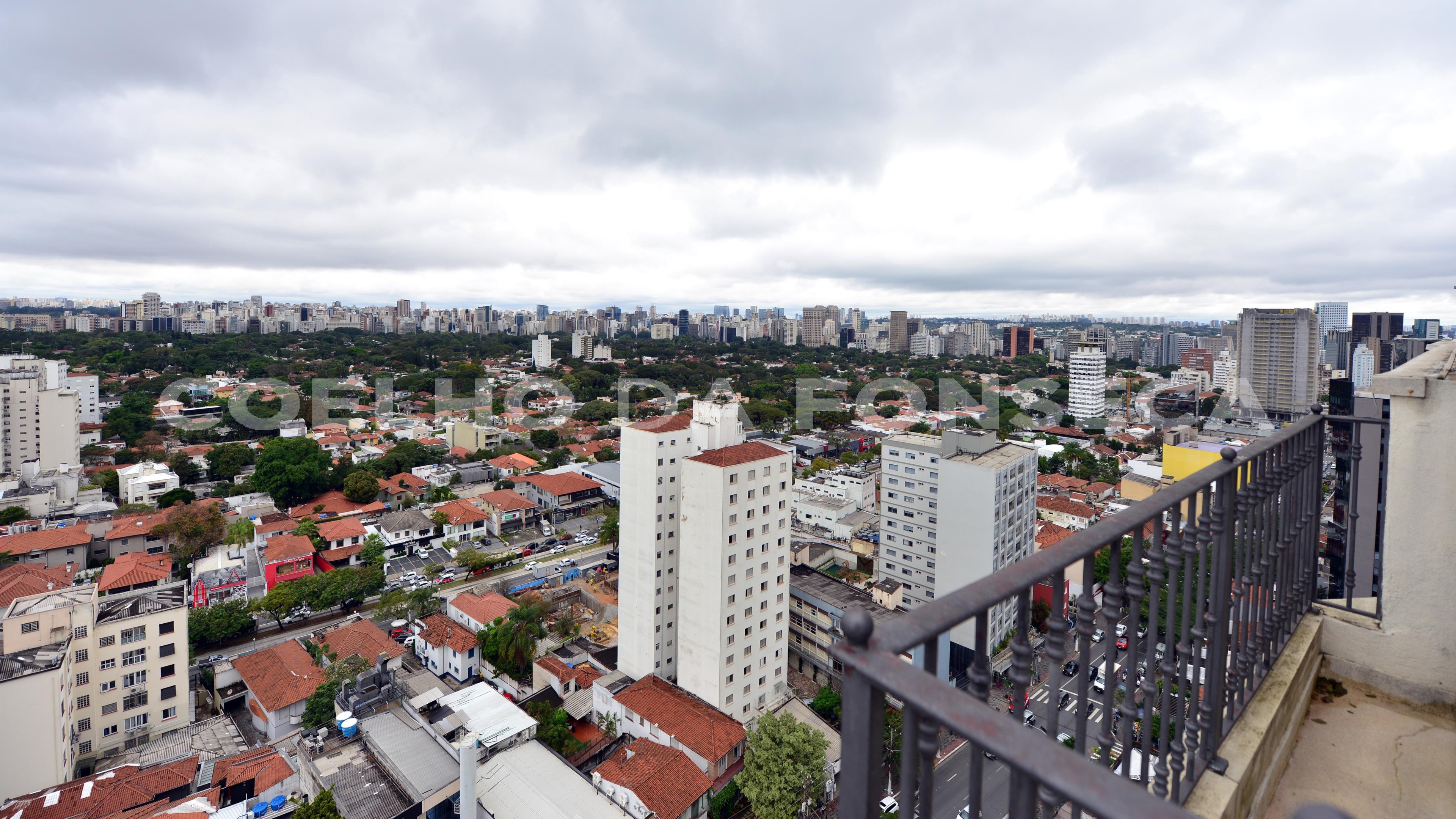 Vista