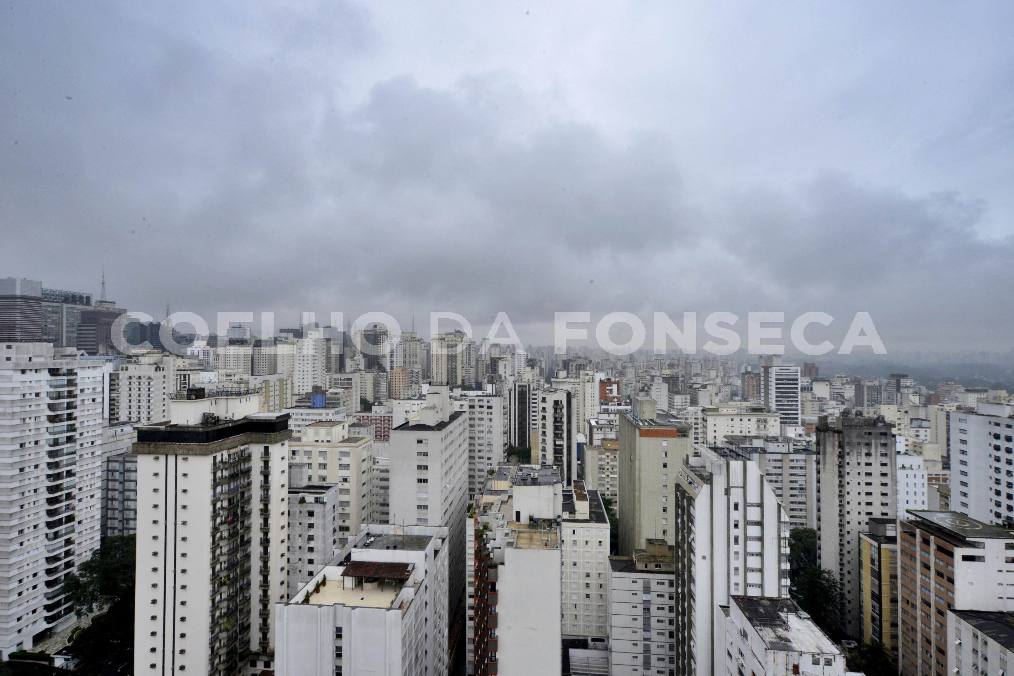 Vista