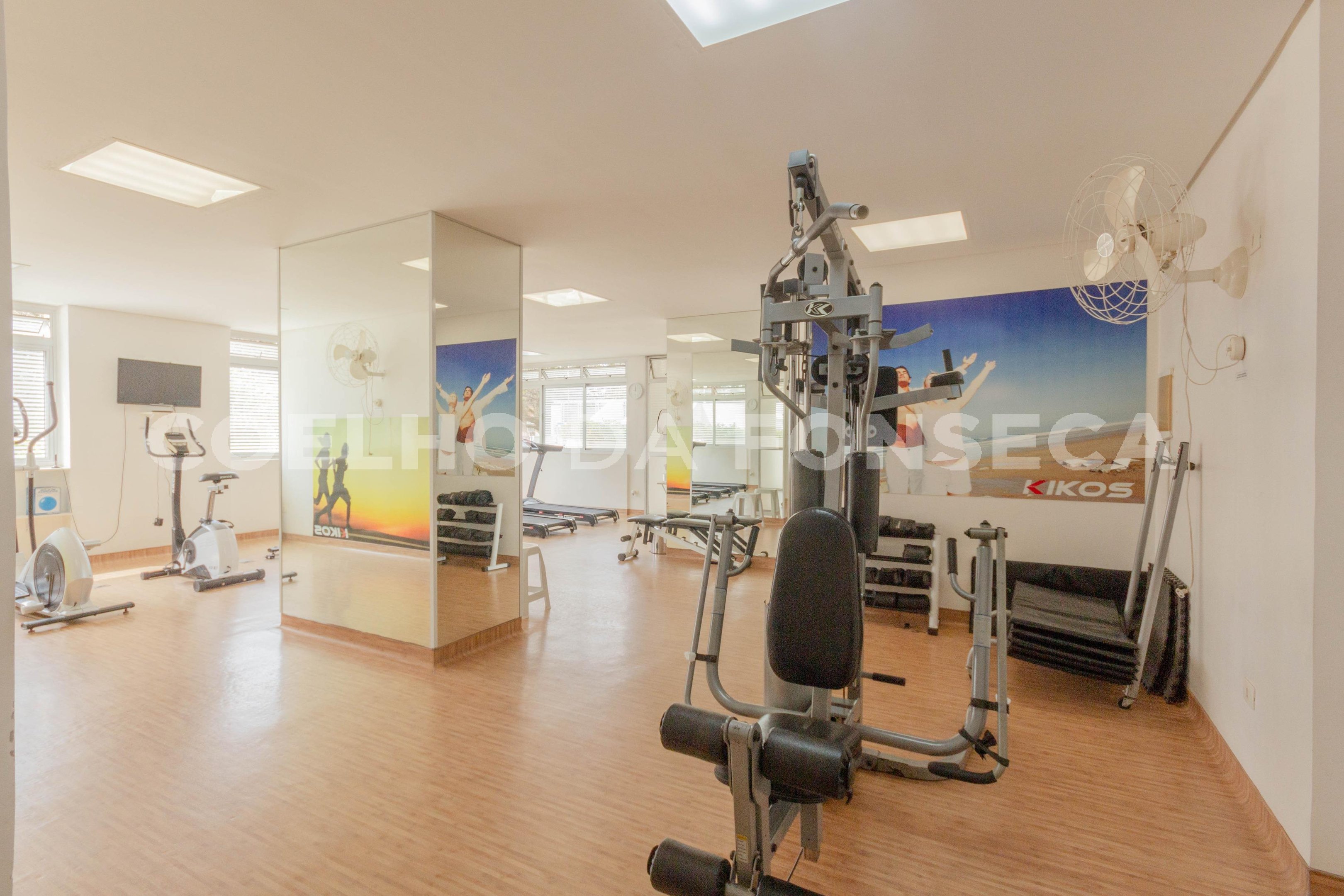 Fitness