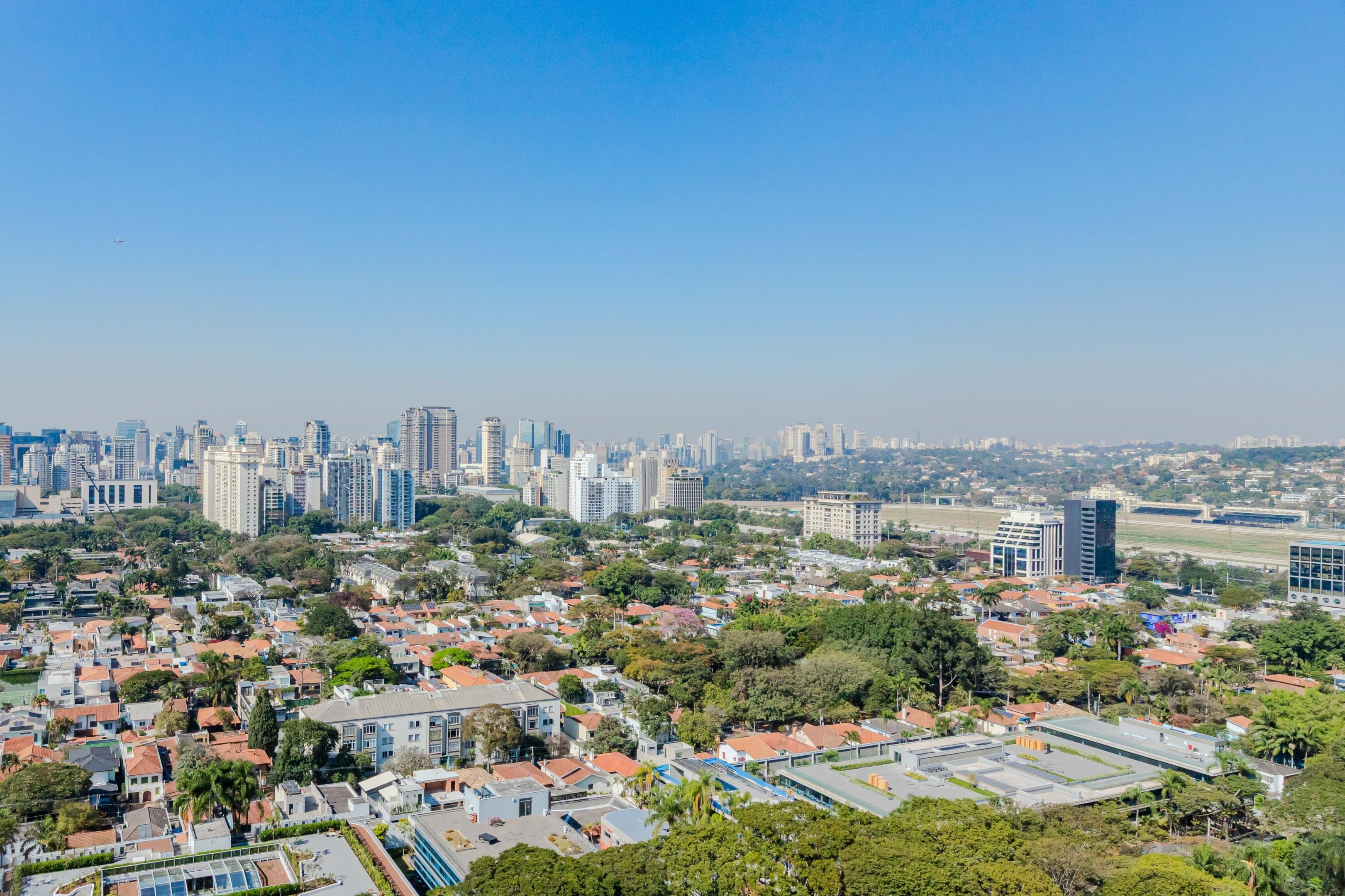 Vista