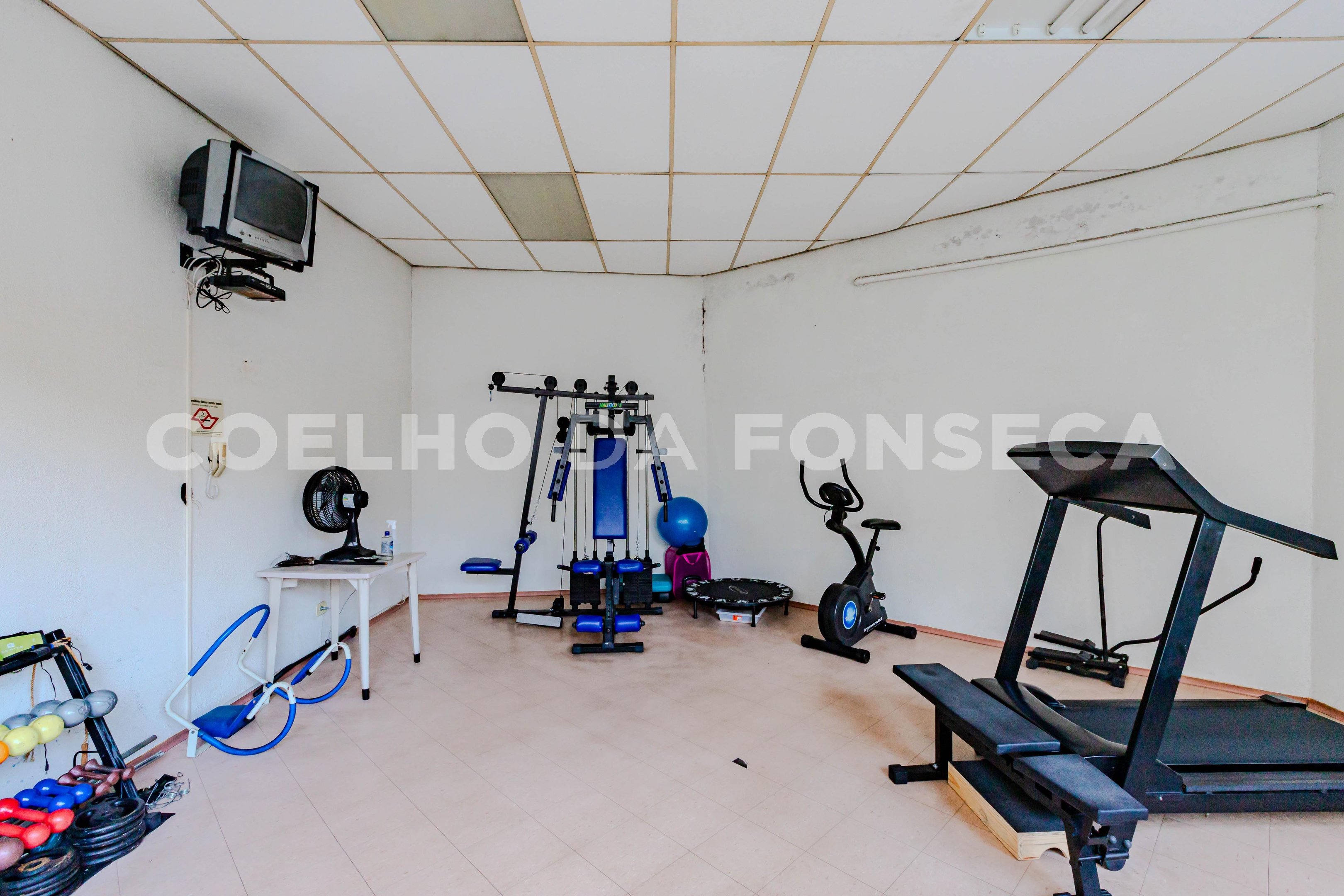 Fitness