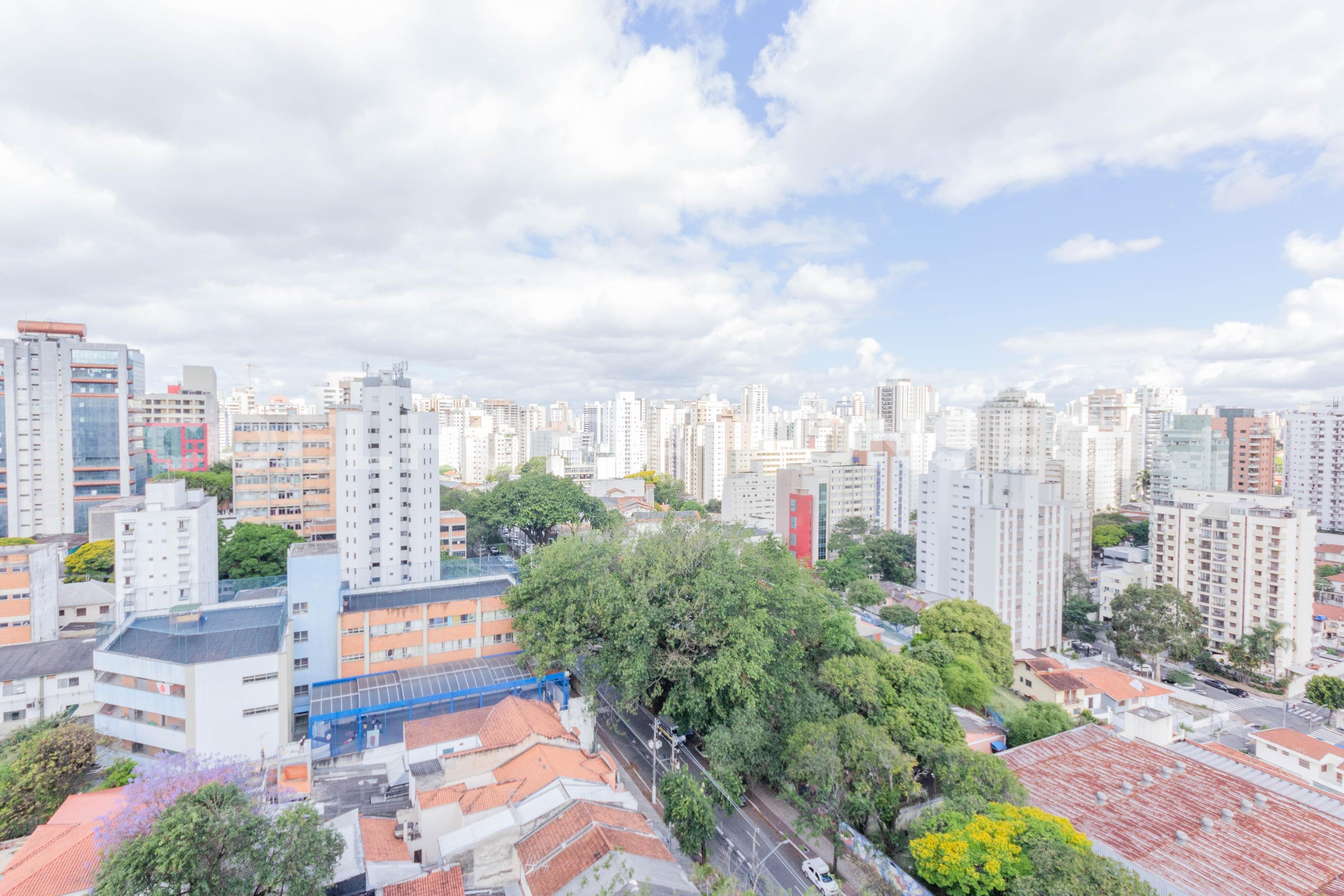 Vista