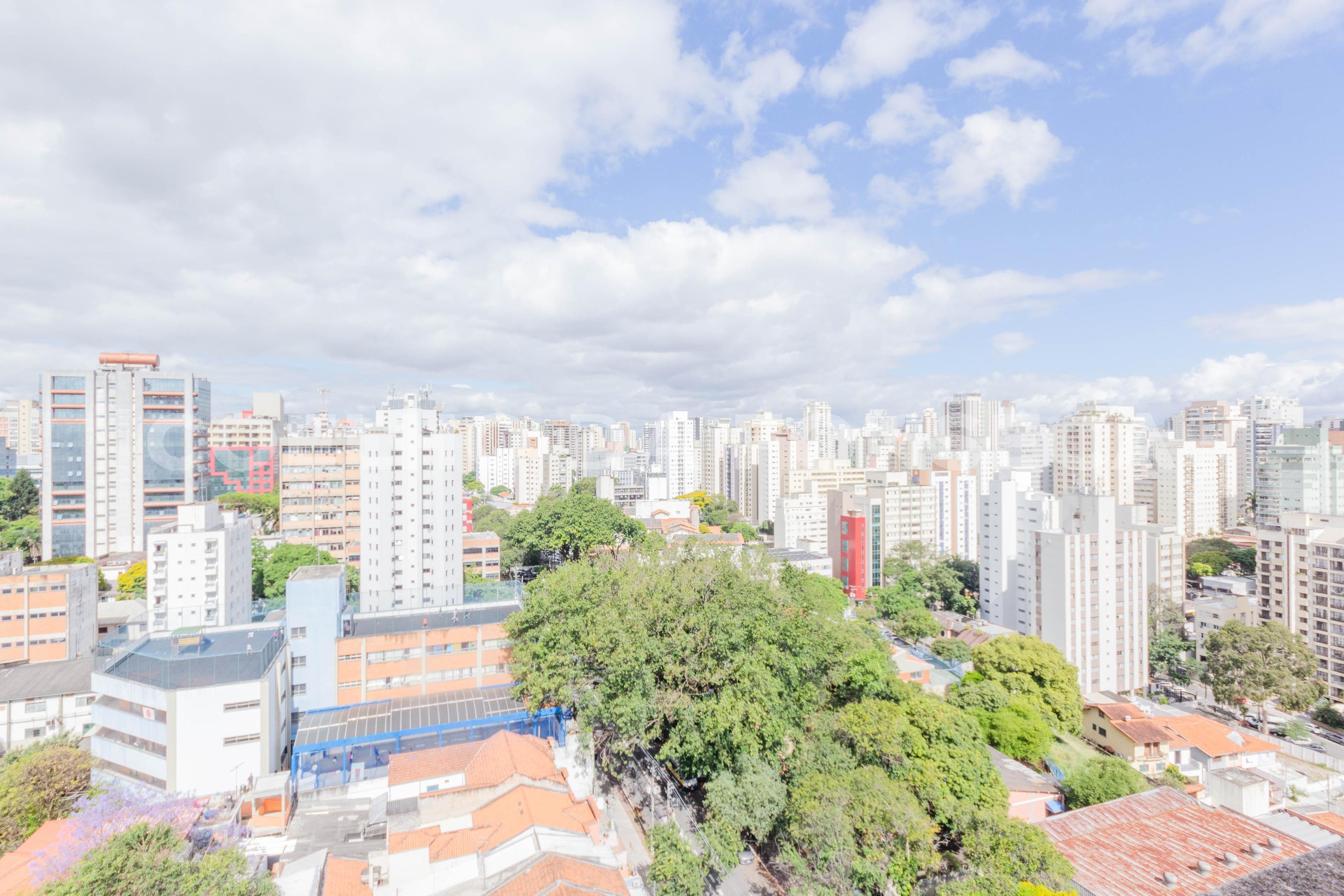 Vista