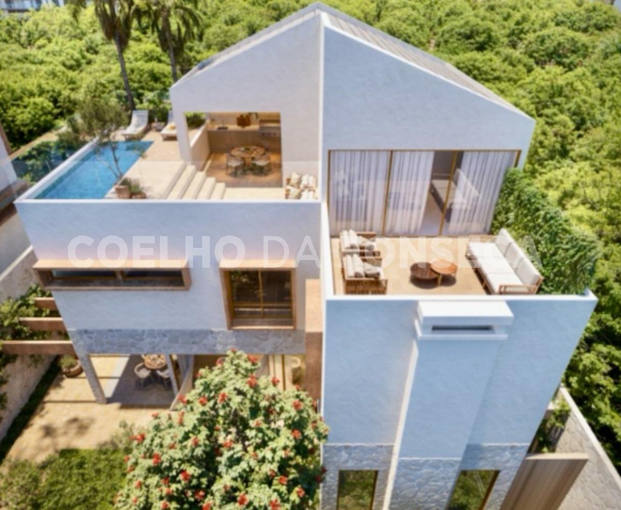 Vista Topográfica da Propriedade