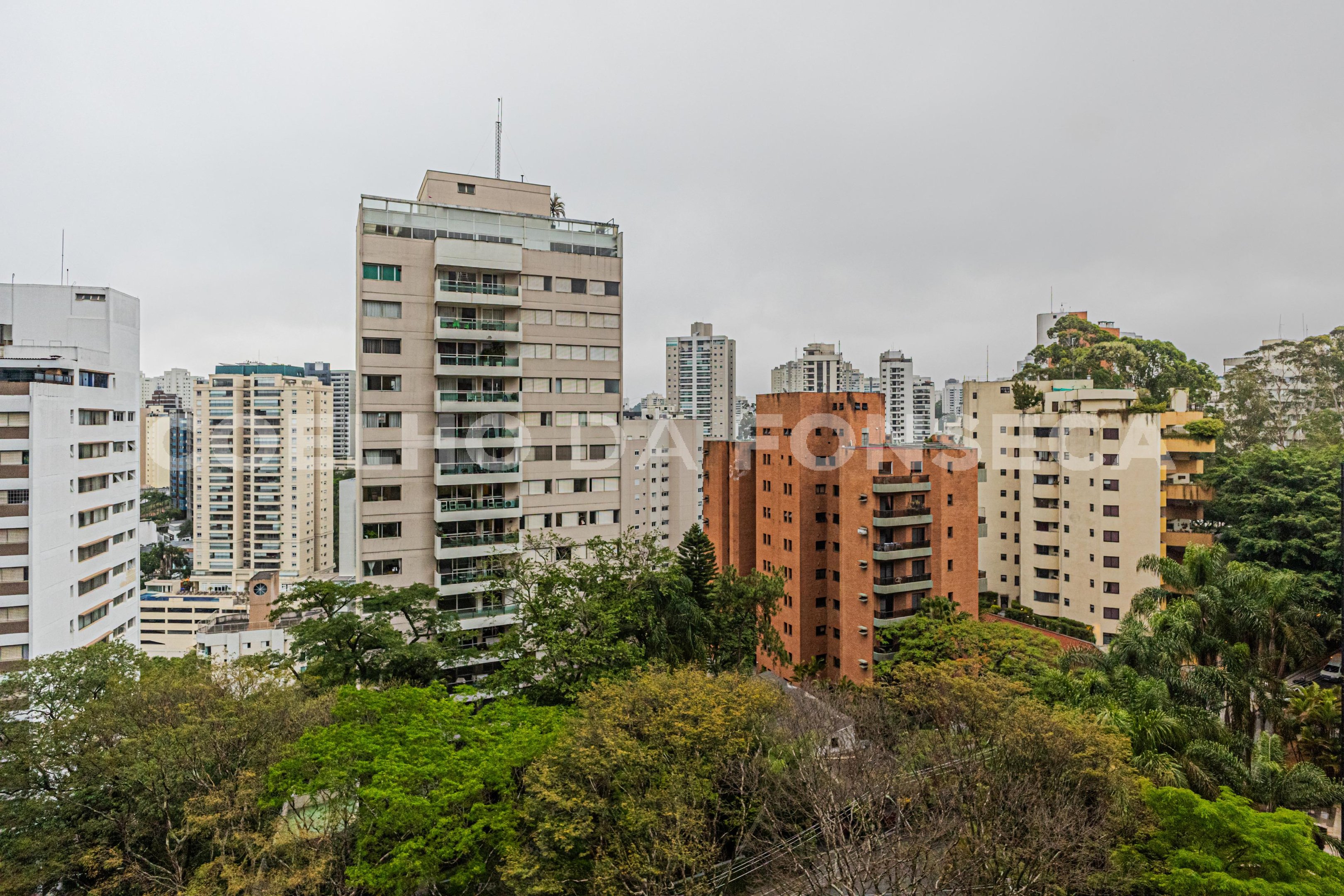 Vista