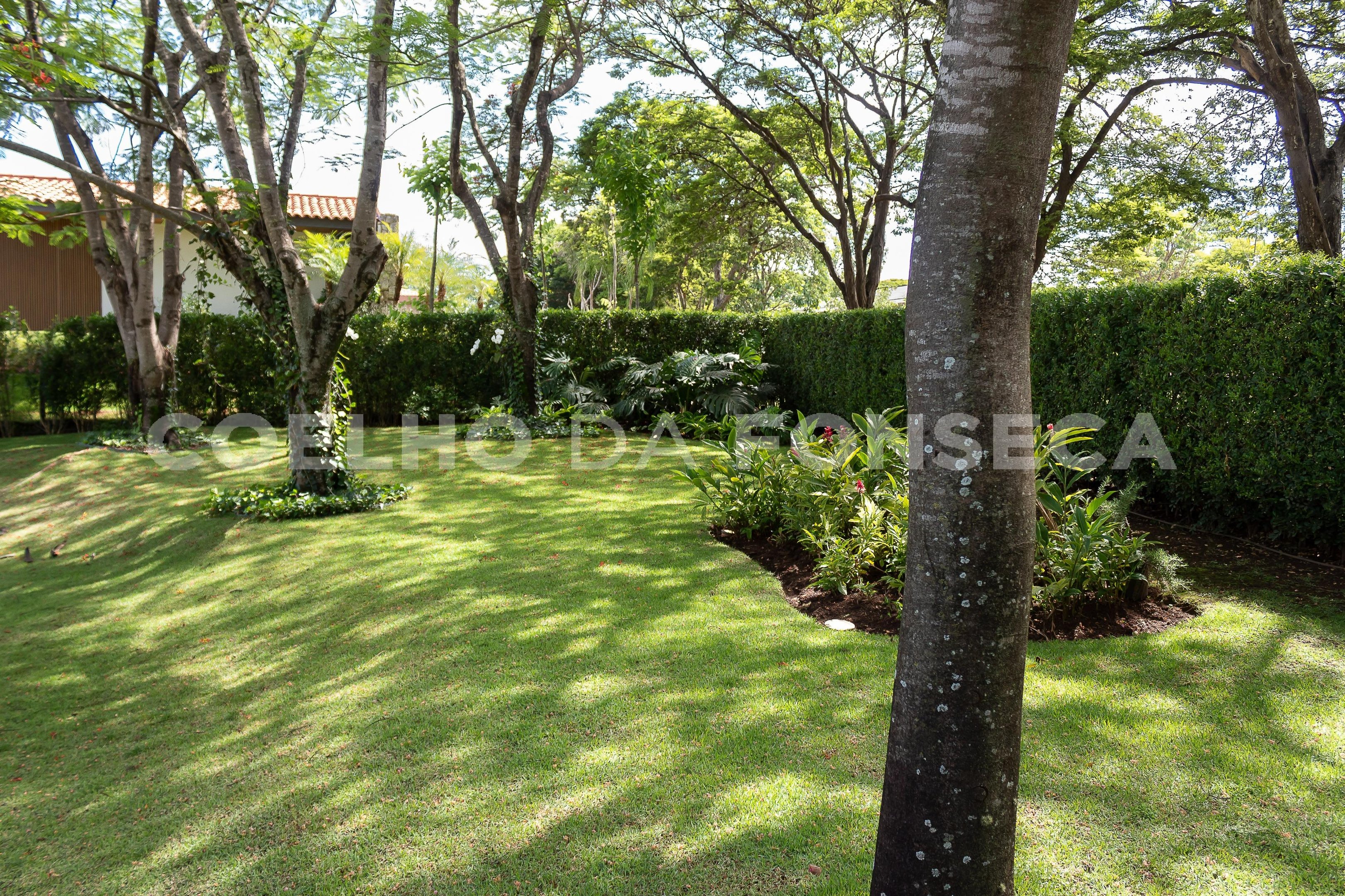 Jardim
