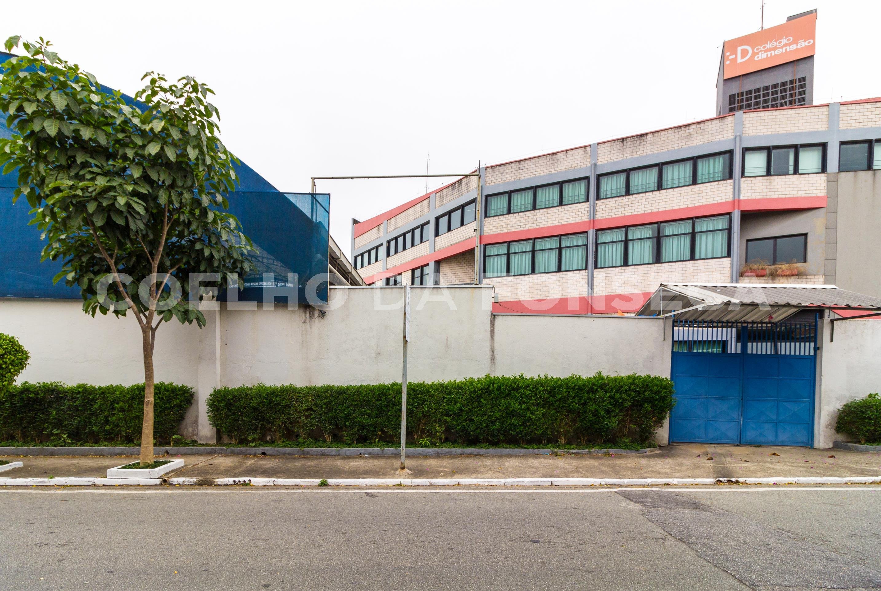 Ginástica ao Ar Livre